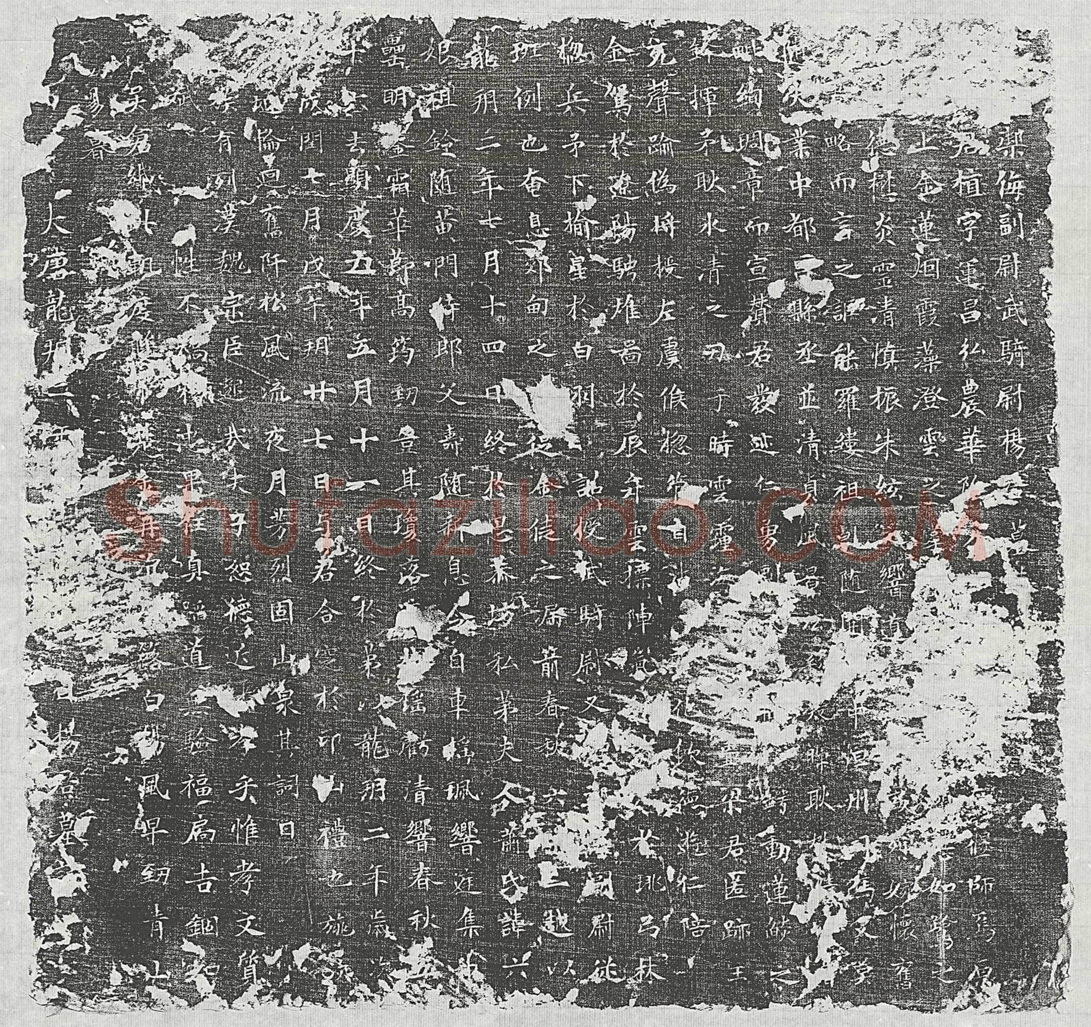 唐 杨君植 墓誌