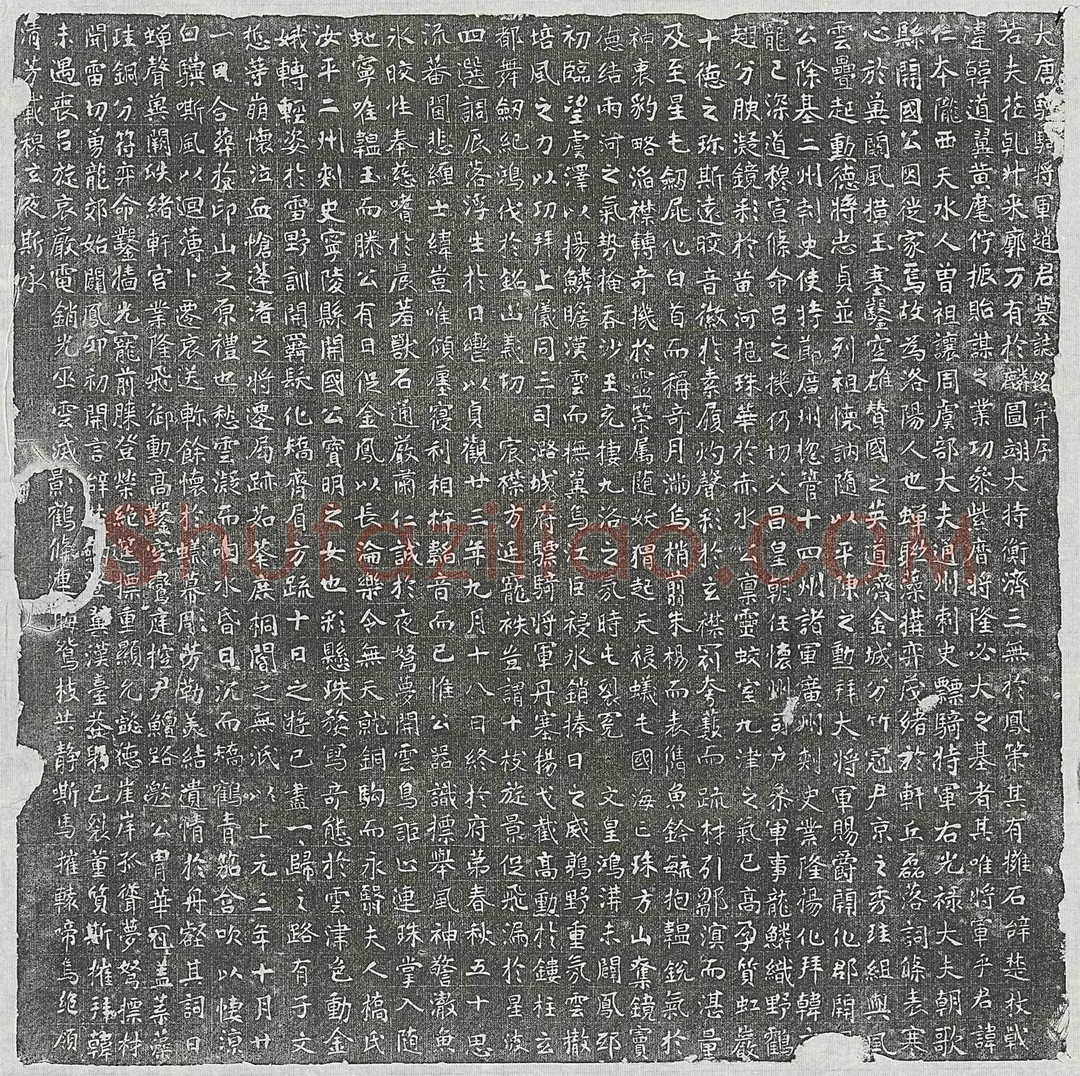 唐 赵仁本 墓誌