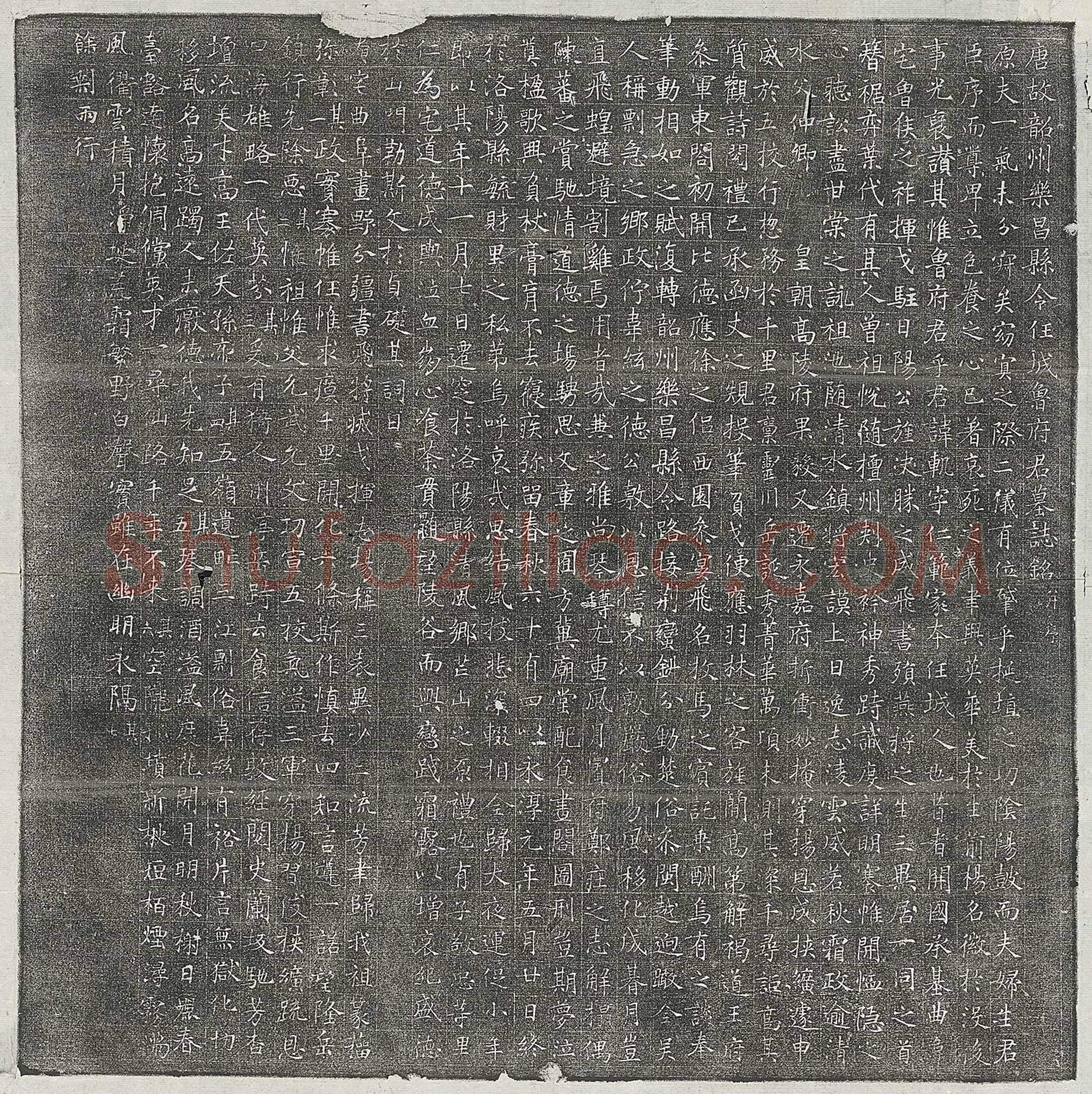 唐 鲁轨 墓誌
