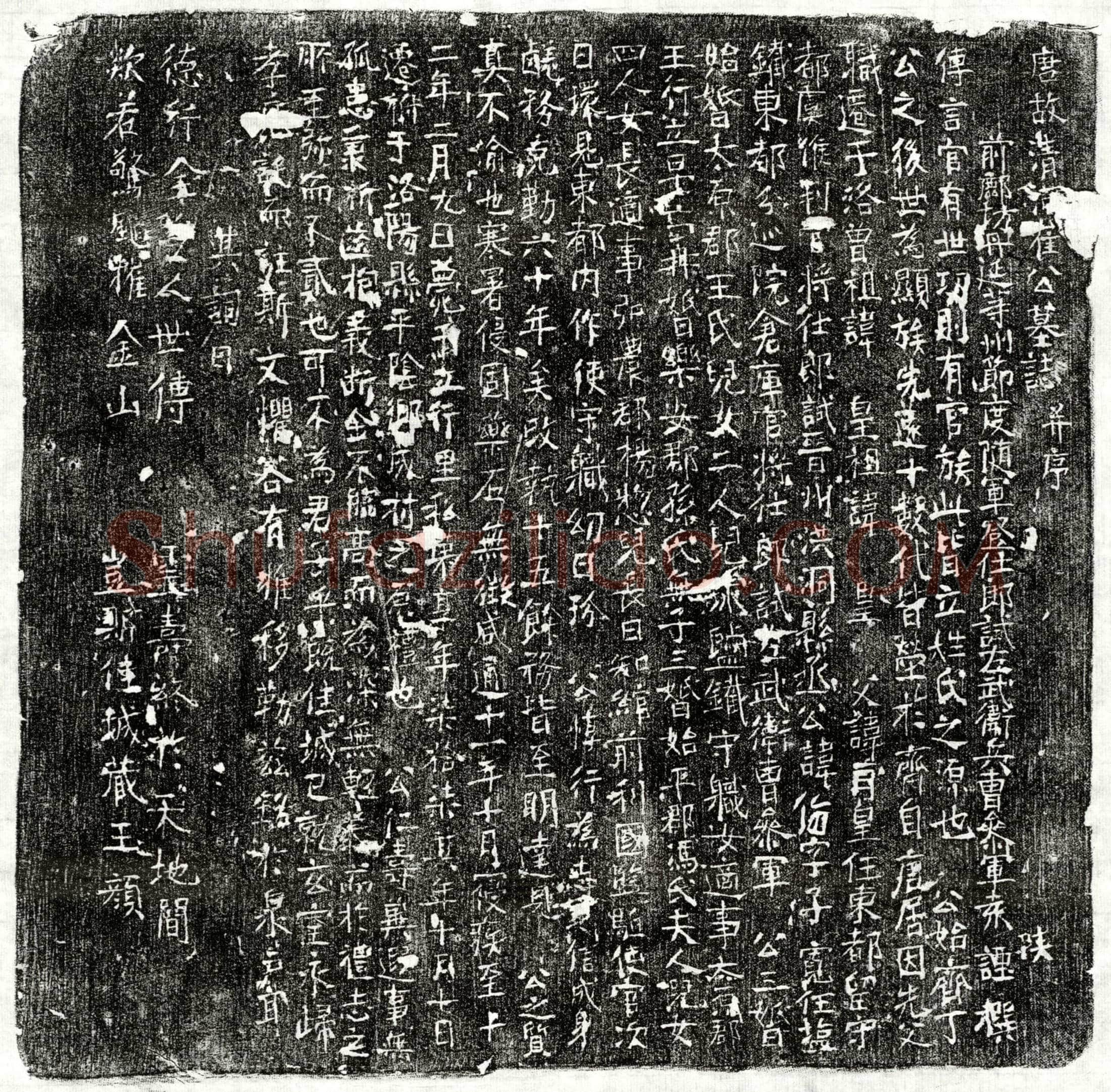 唐 崔侮 墓誌