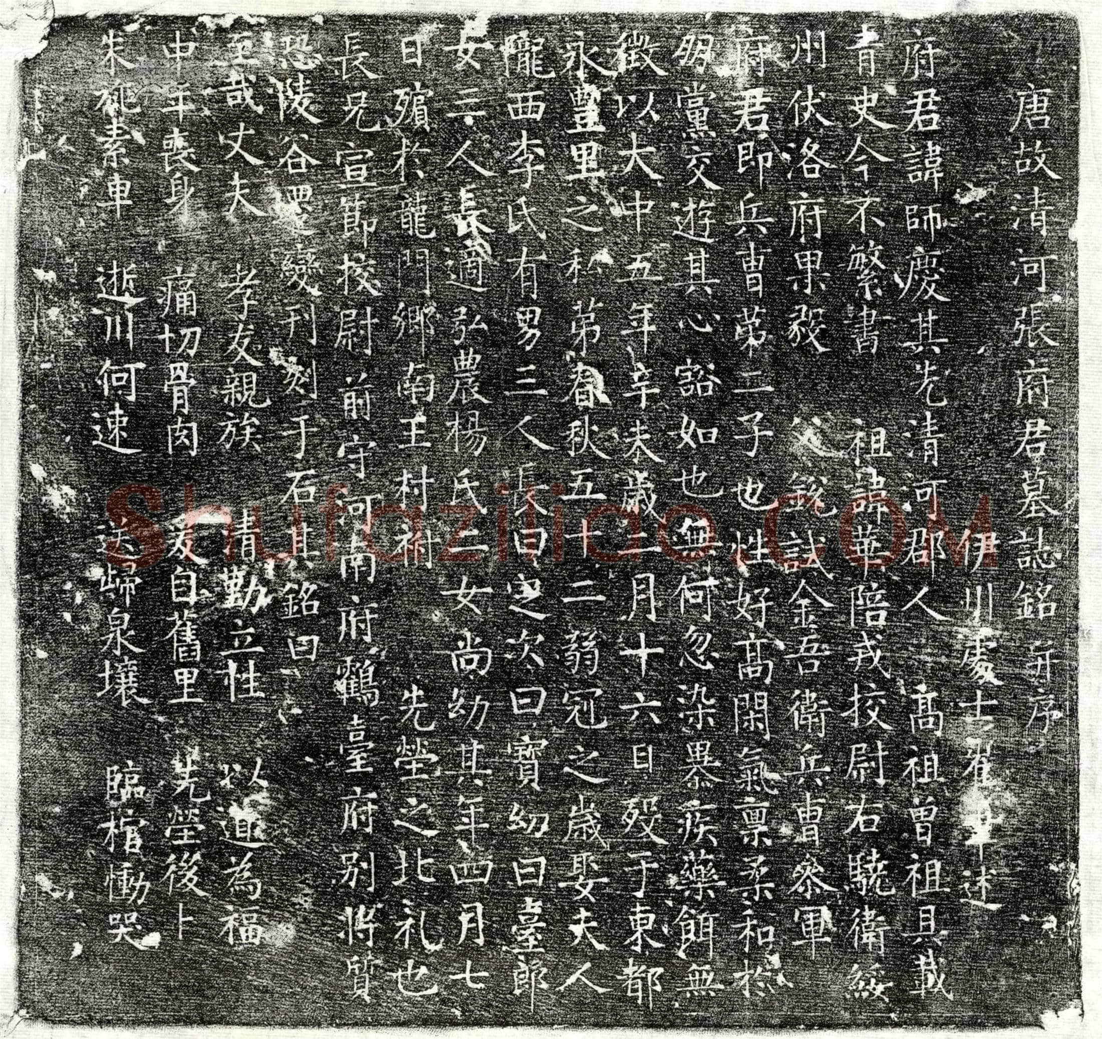 唐张师庆墓誌(唐故清河张府君墓誌铭并序)