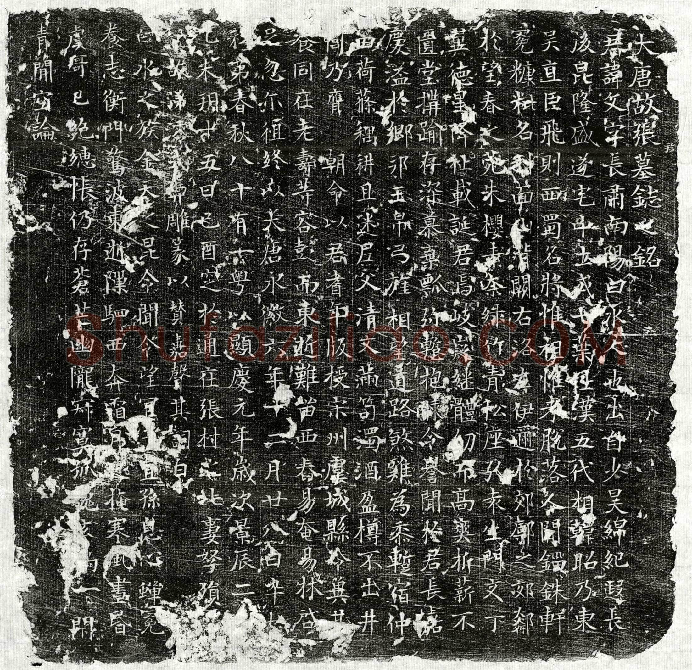 唐 张文 墓誌