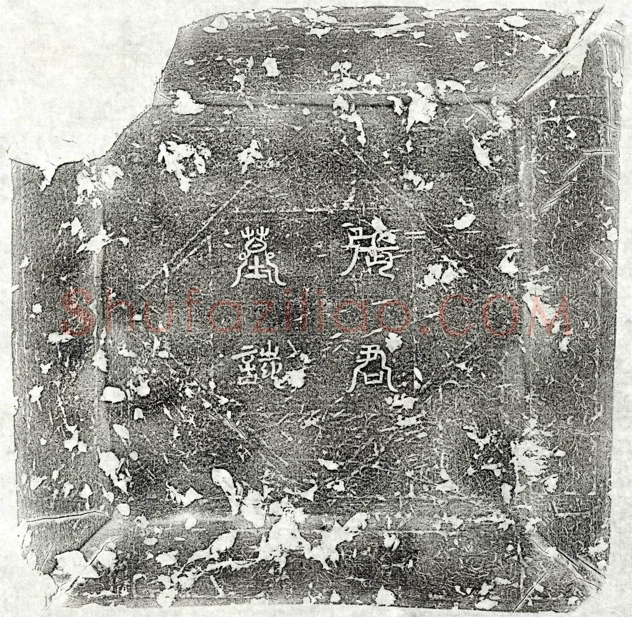 唐张文墓誌(大唐故张君墓鋕之铭)