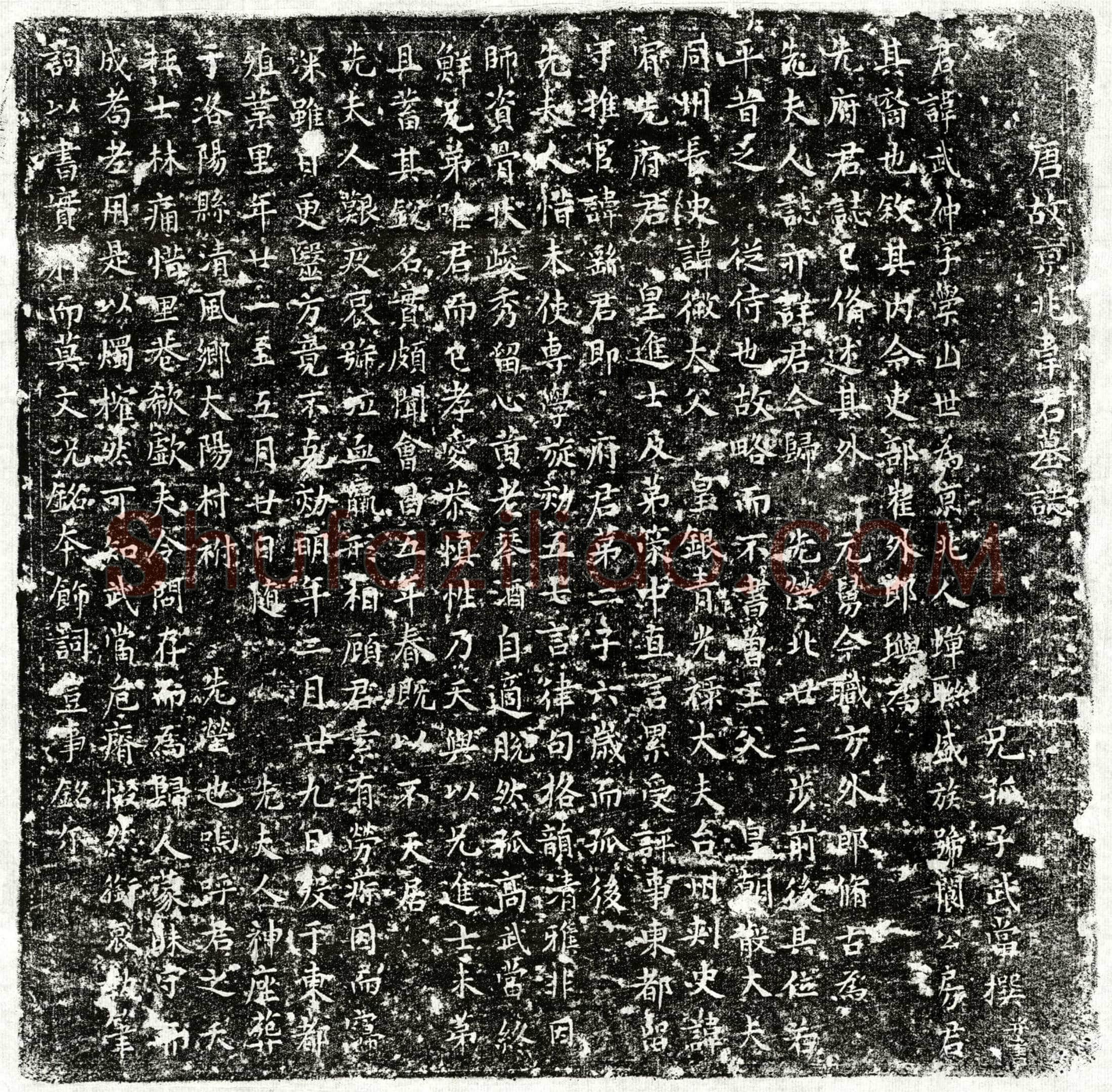 唐 韦武仲 墓誌