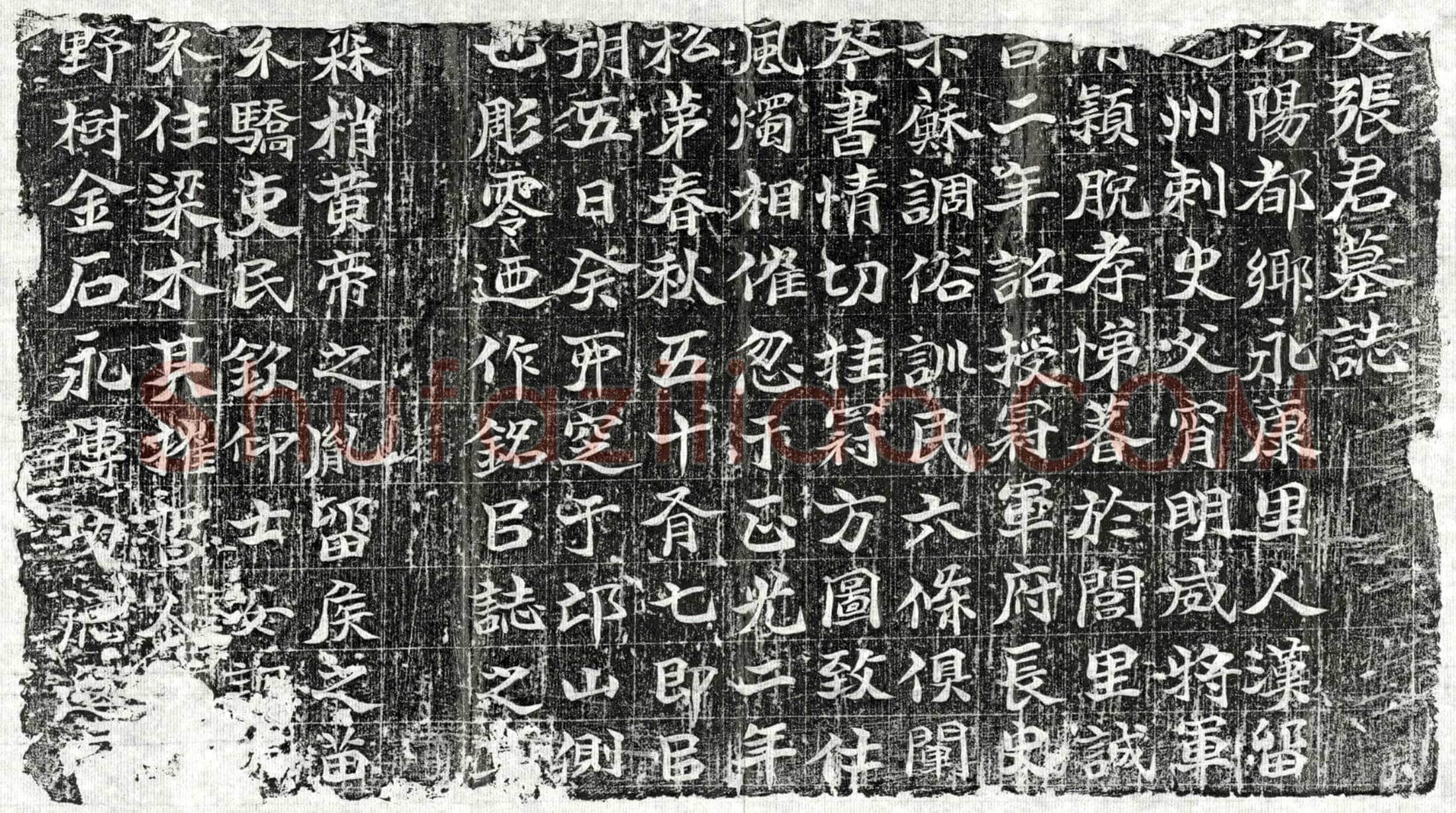 北朝 张君 墓誌