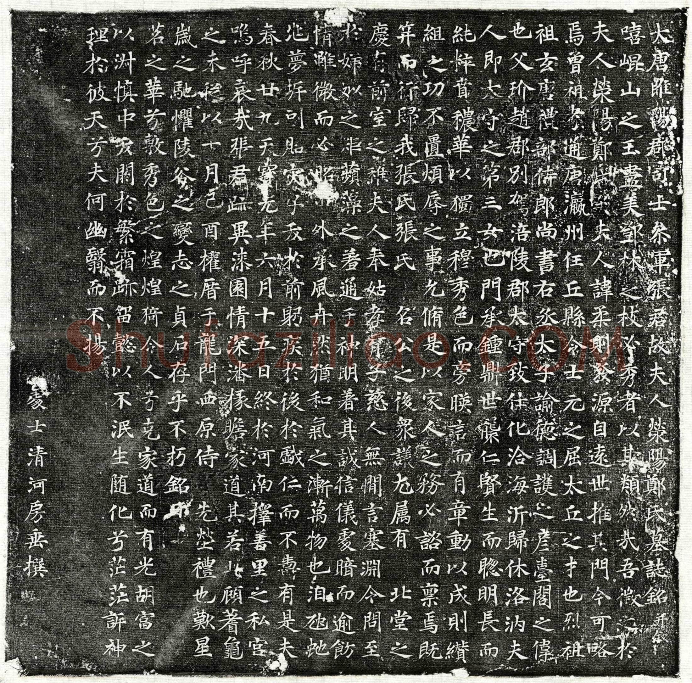 唐 张君妻郑柔则 墓誌