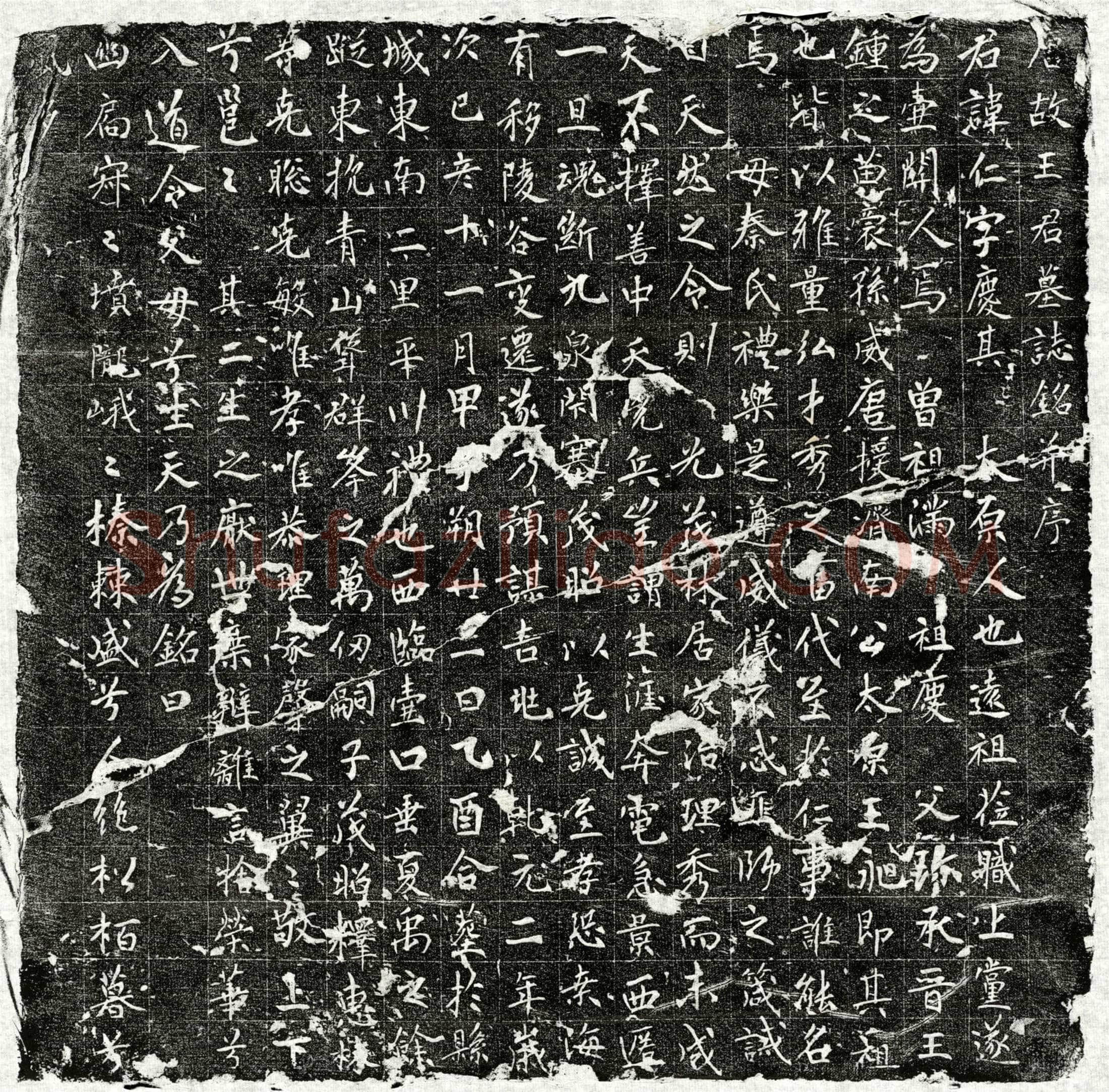 唐 王仁 墓誌