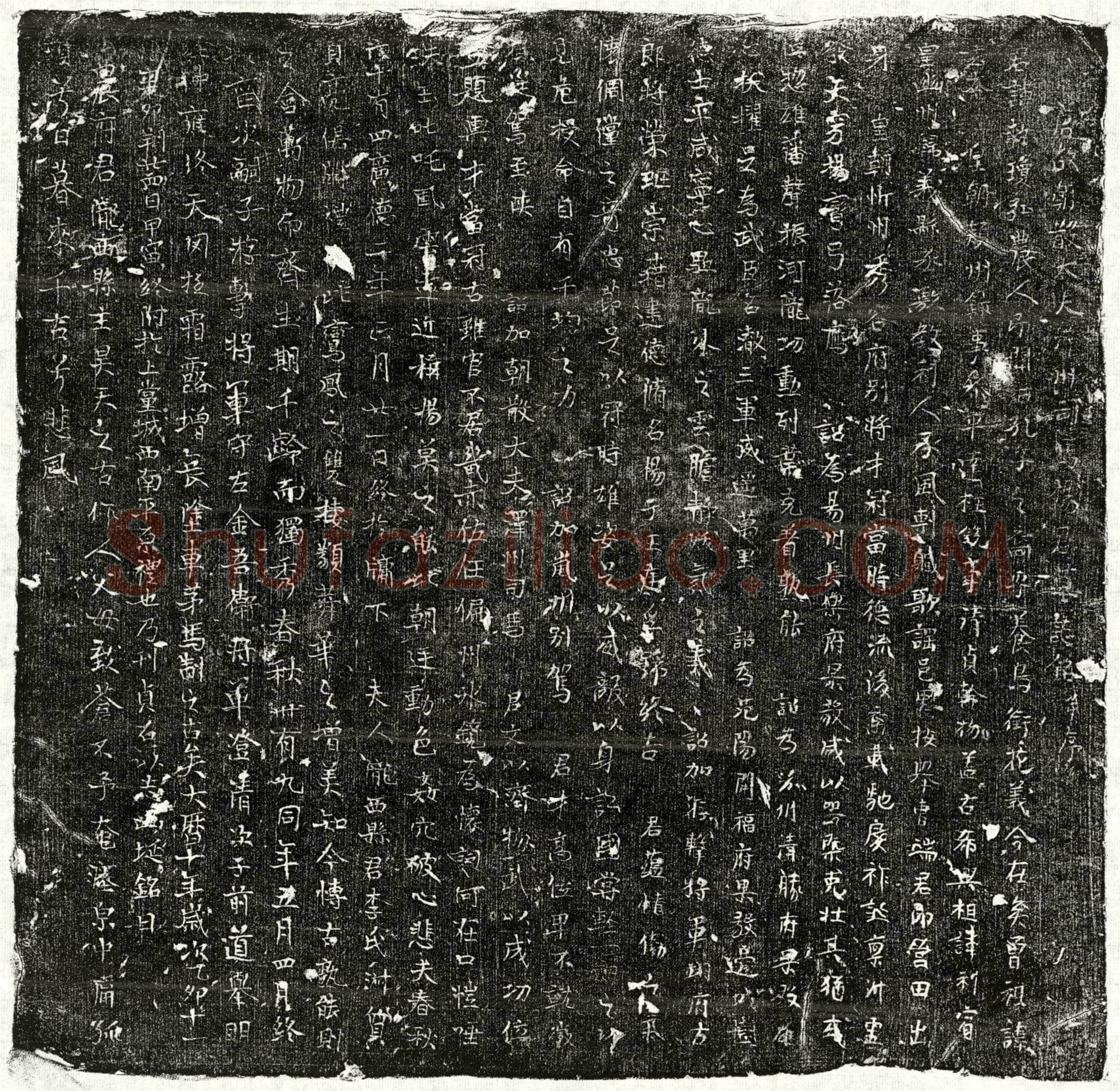 唐杨执琼墓誌(唐故朝散大夫泽州司马杨君墓誌铭并序)