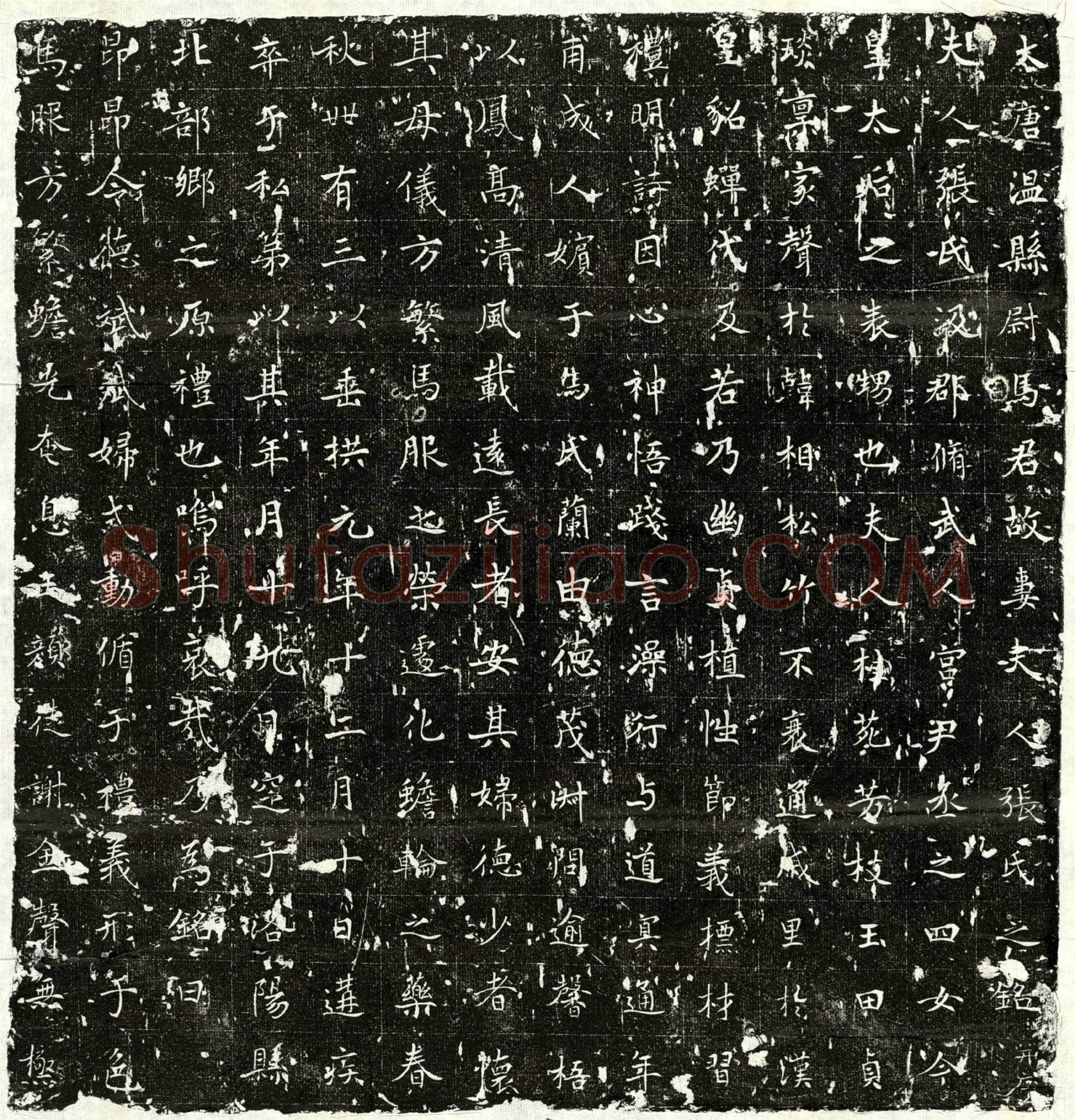 唐 马君妻张氏 墓誌
