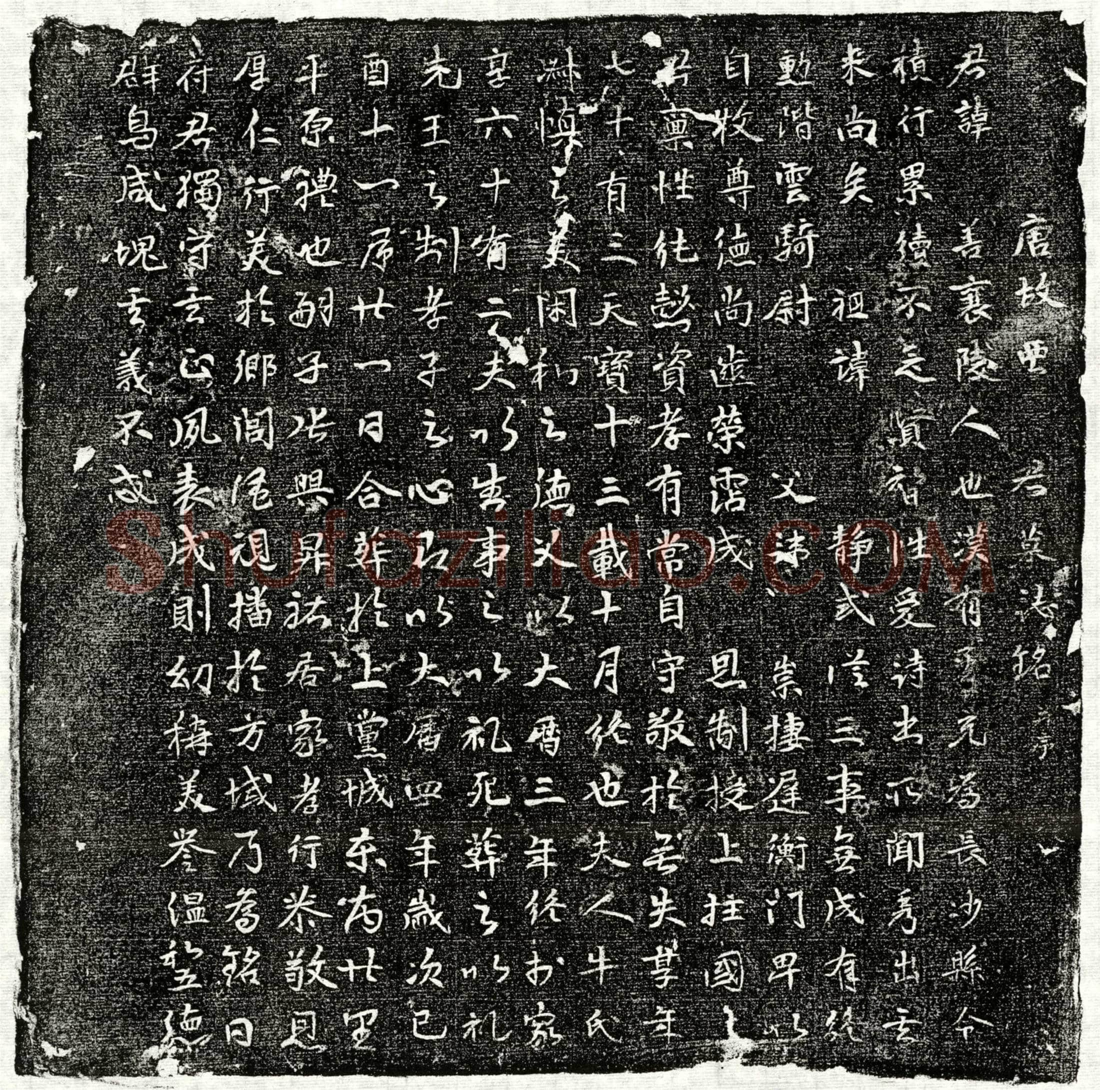 唐贾善墓誌(唐故贾君墓誌铭并序)