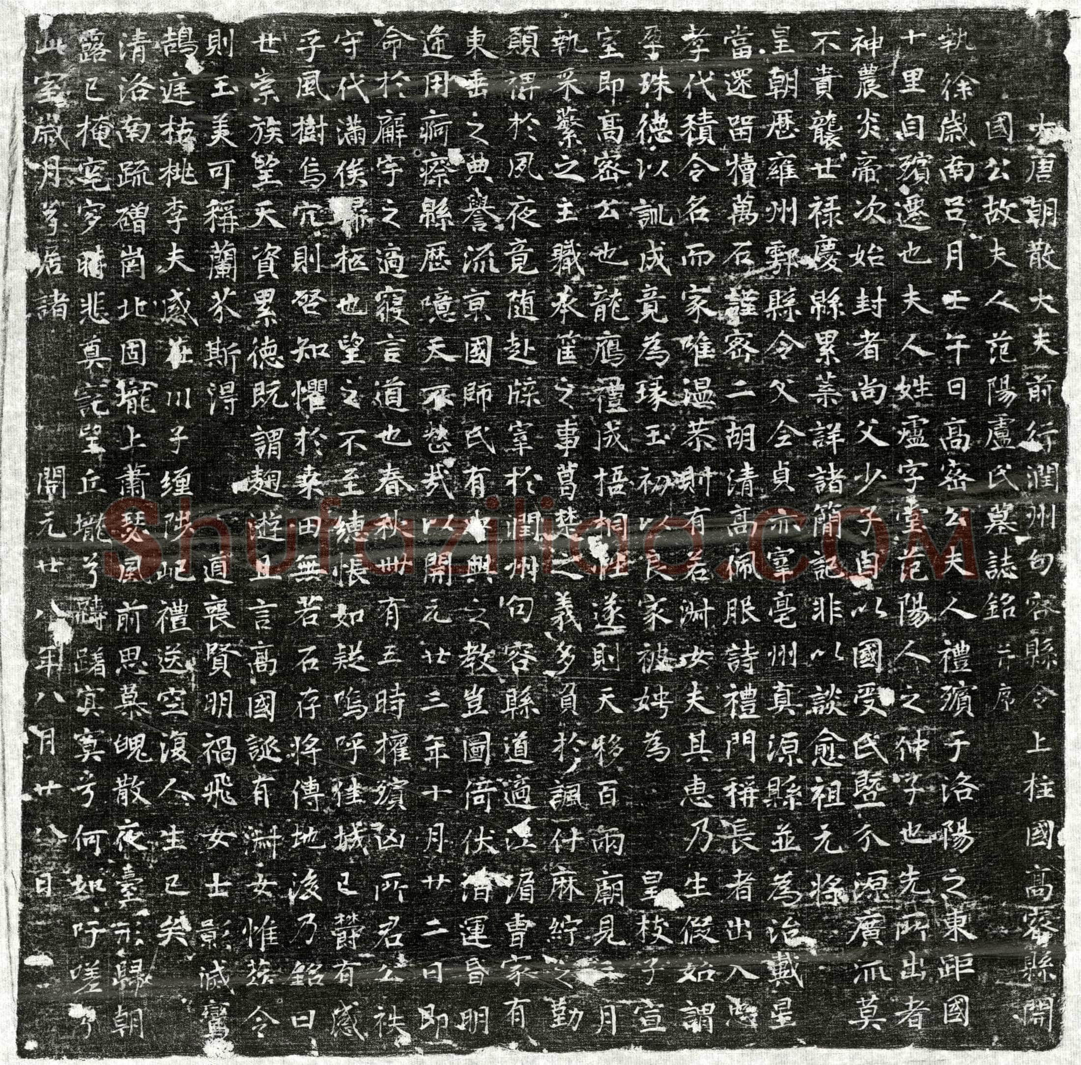 唐李君妻卢堂墓誌(大唐朝散大夫前行润州句容县令上柱国高密县开国公故夫人范阳卢氏墓誌铭并序)