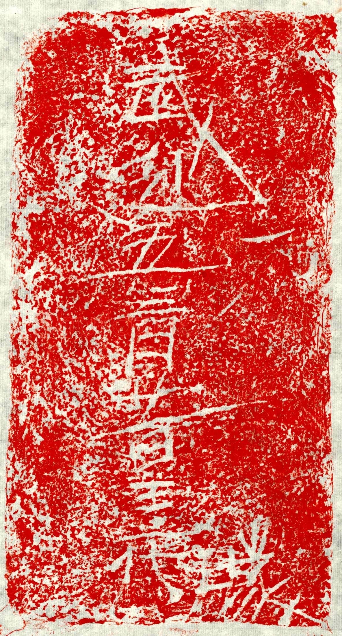 北朝 □君 墓誌