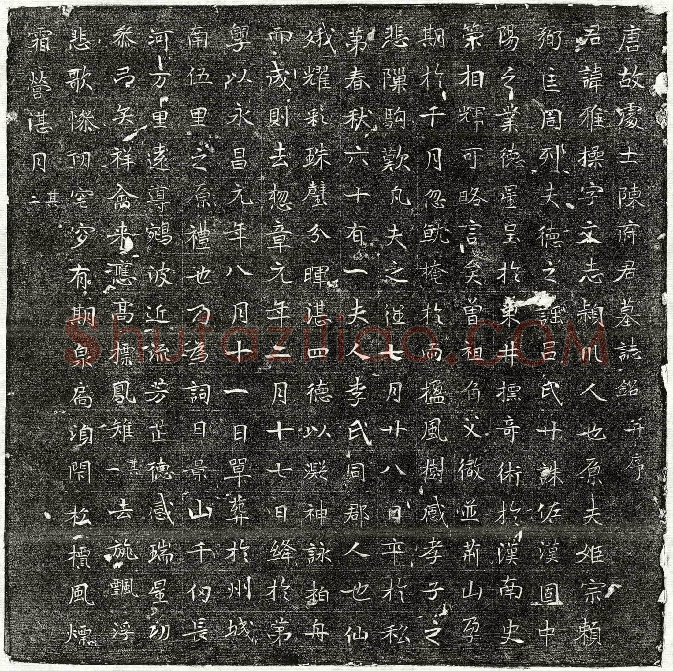 唐 陈雅操 墓誌