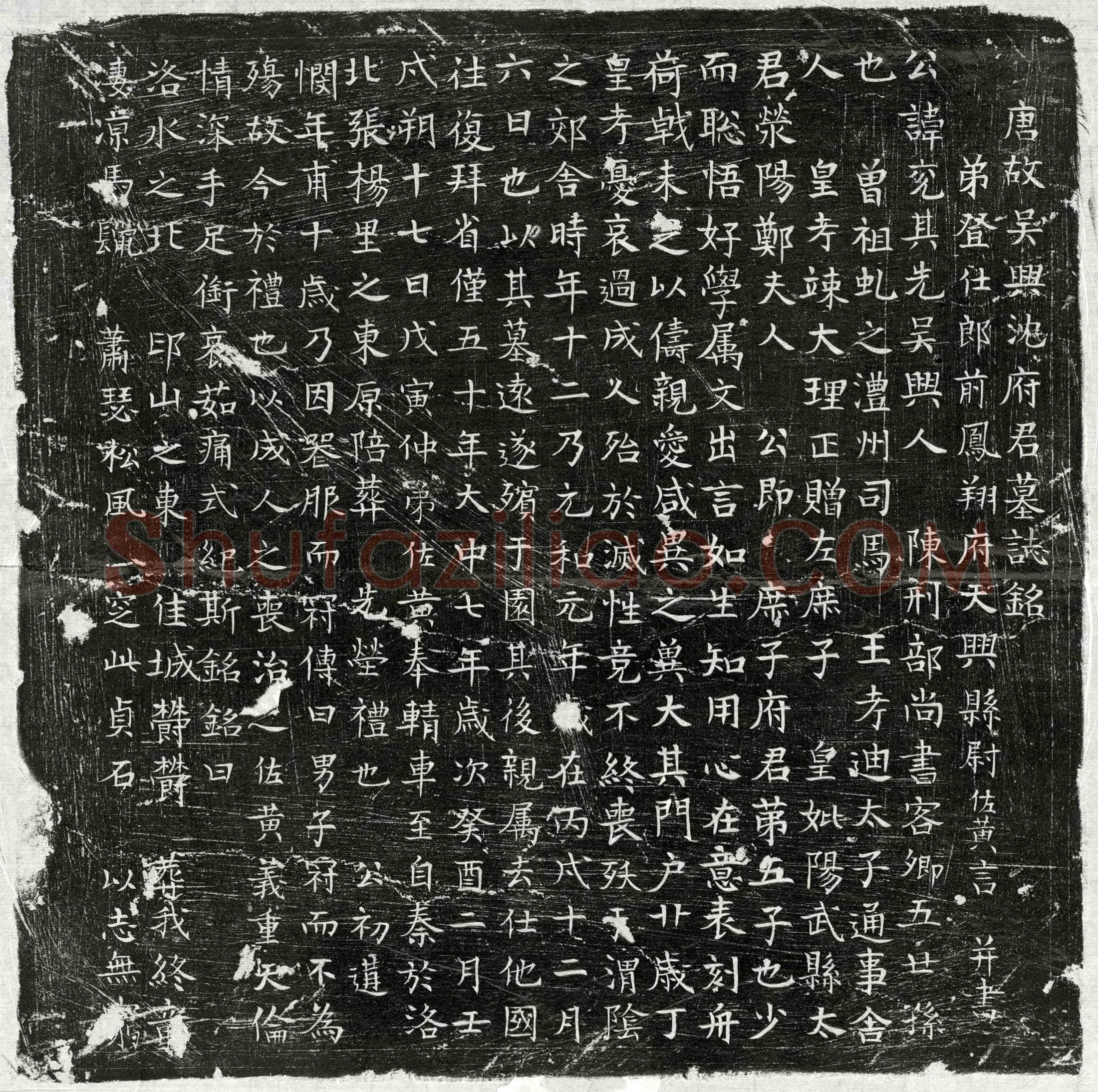 唐 沈兖 墓誌
