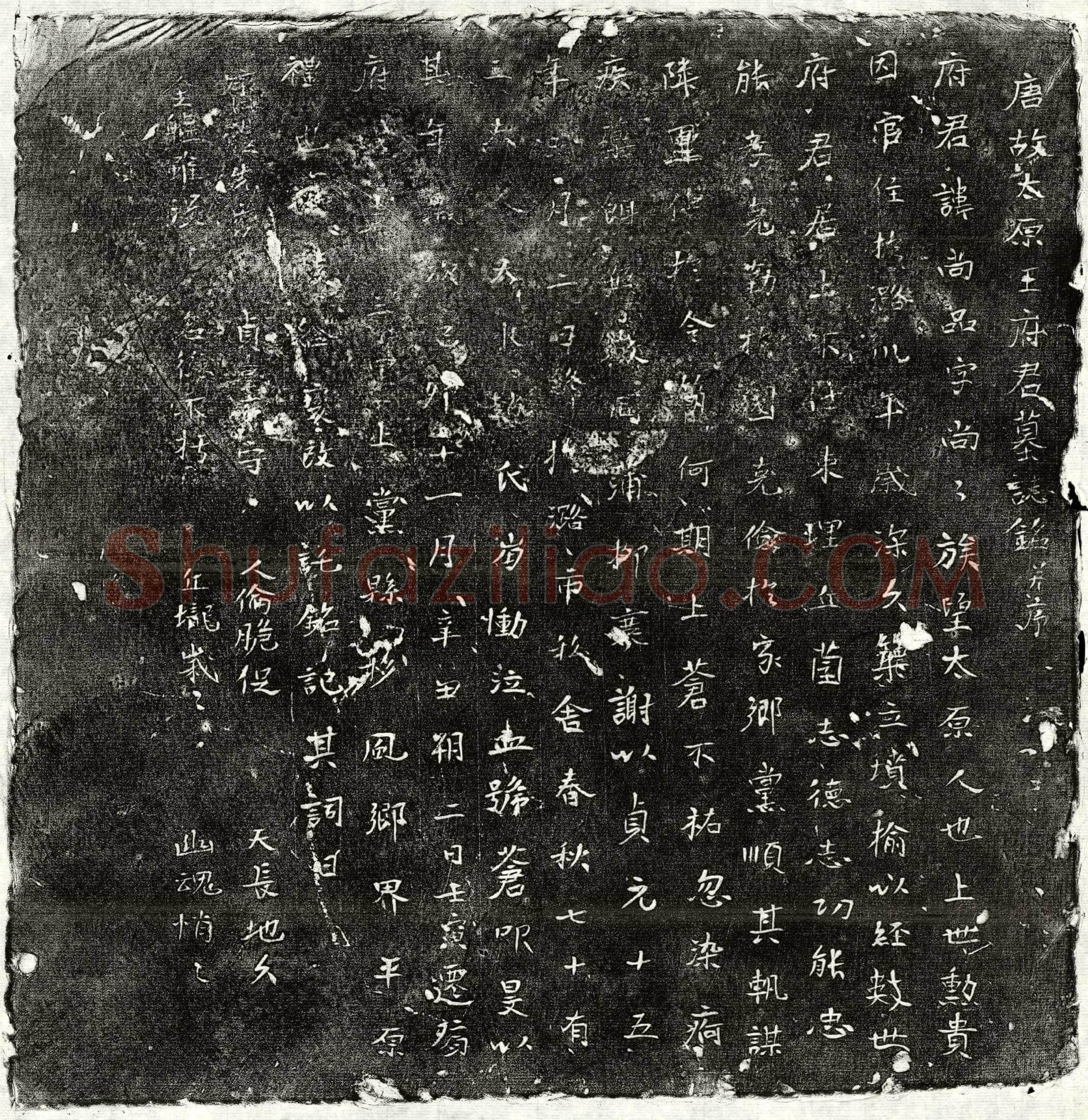 唐 王尚品 墓誌