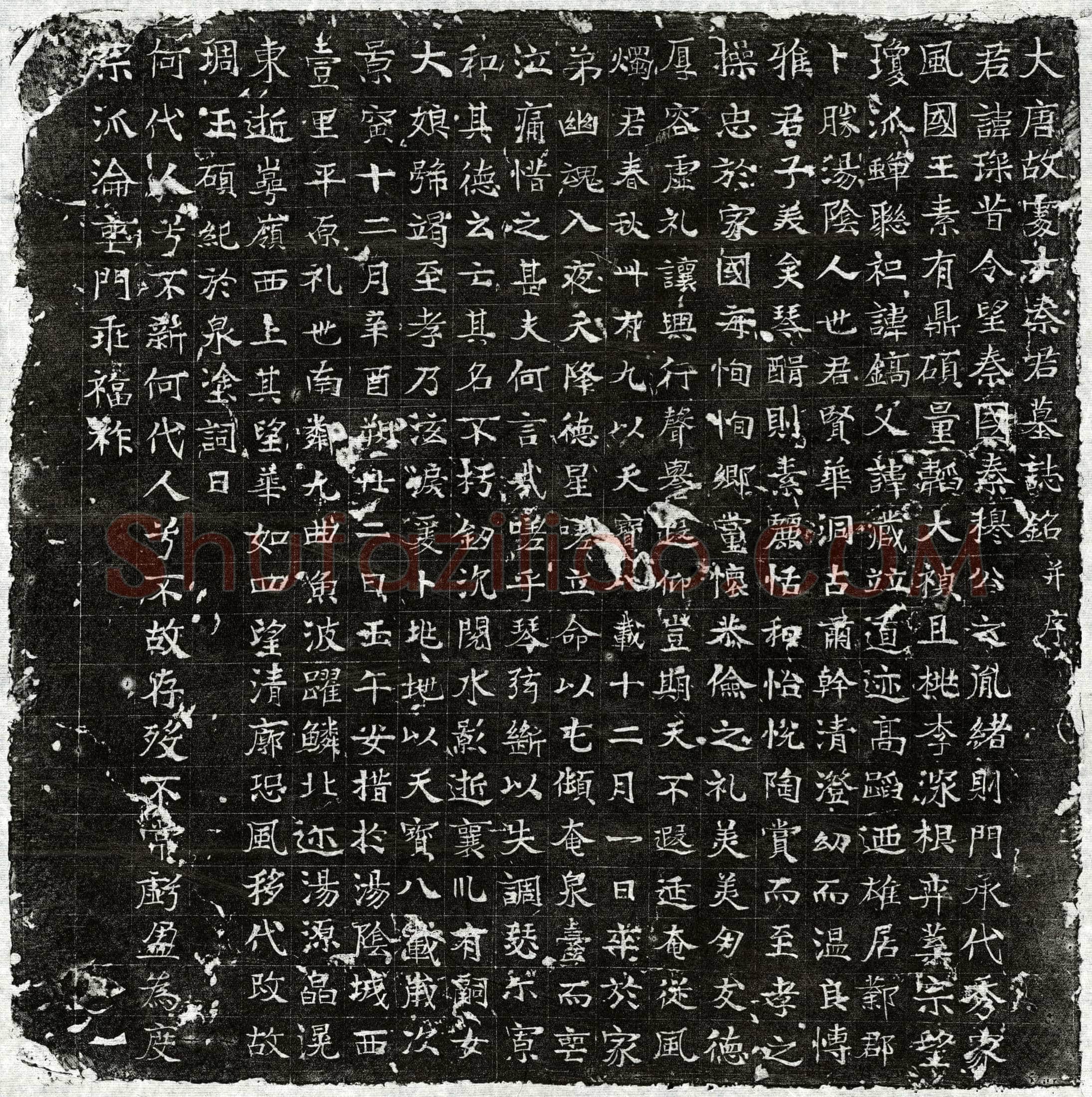 唐 秦琛 墓誌