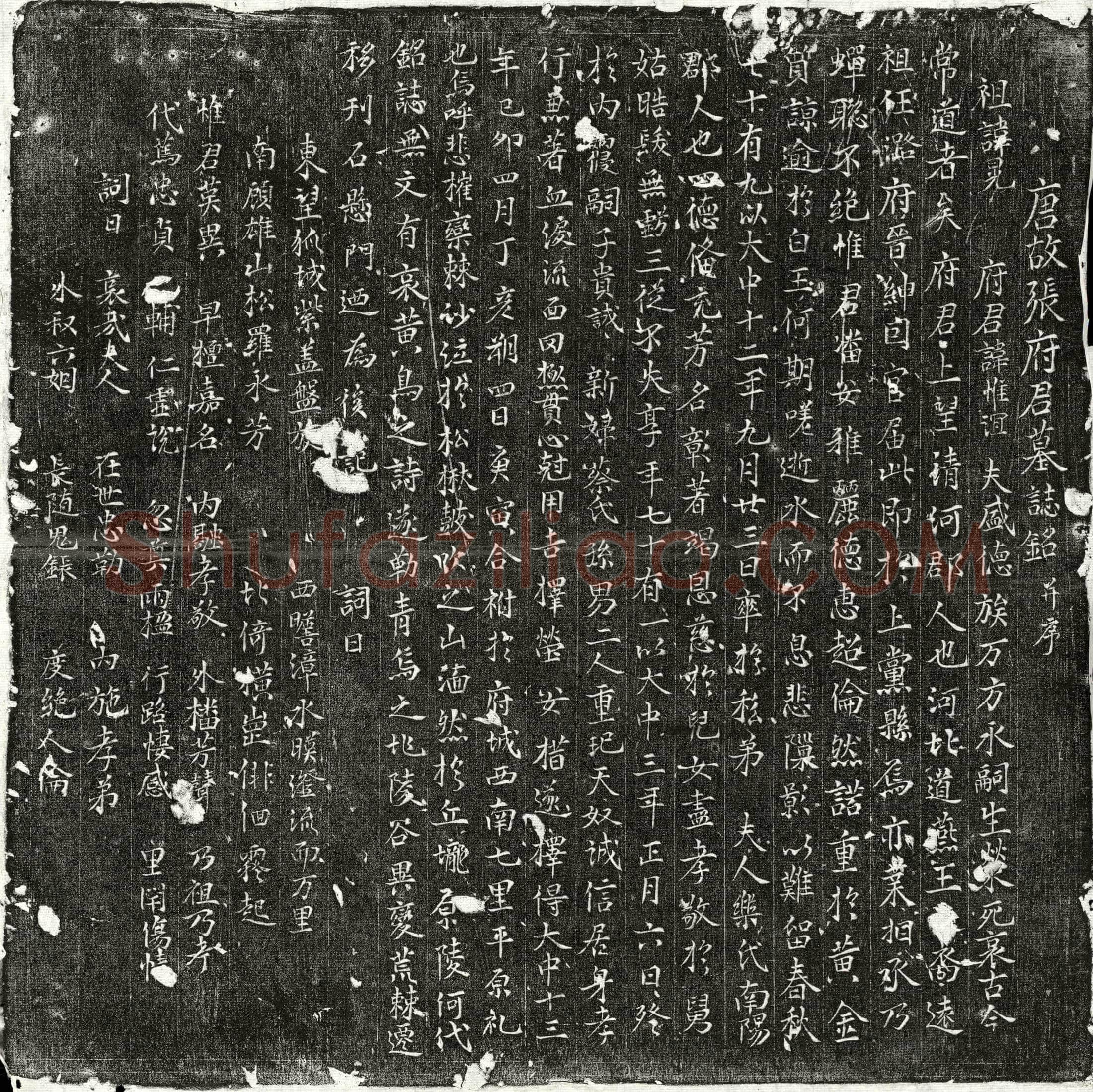 唐张惟谊墓誌(唐故张府君墓誌铭并序)