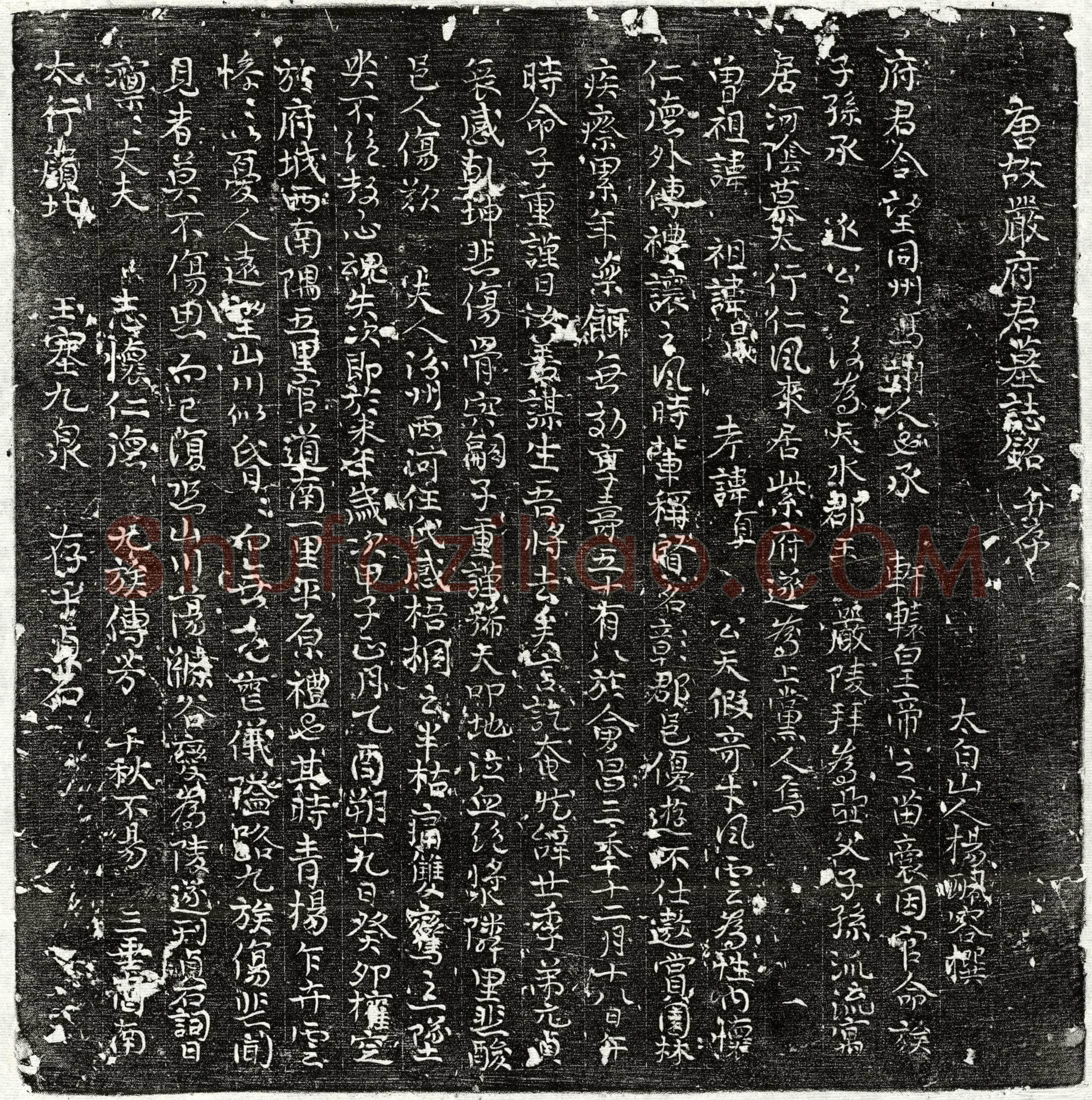 唐 严君 墓誌