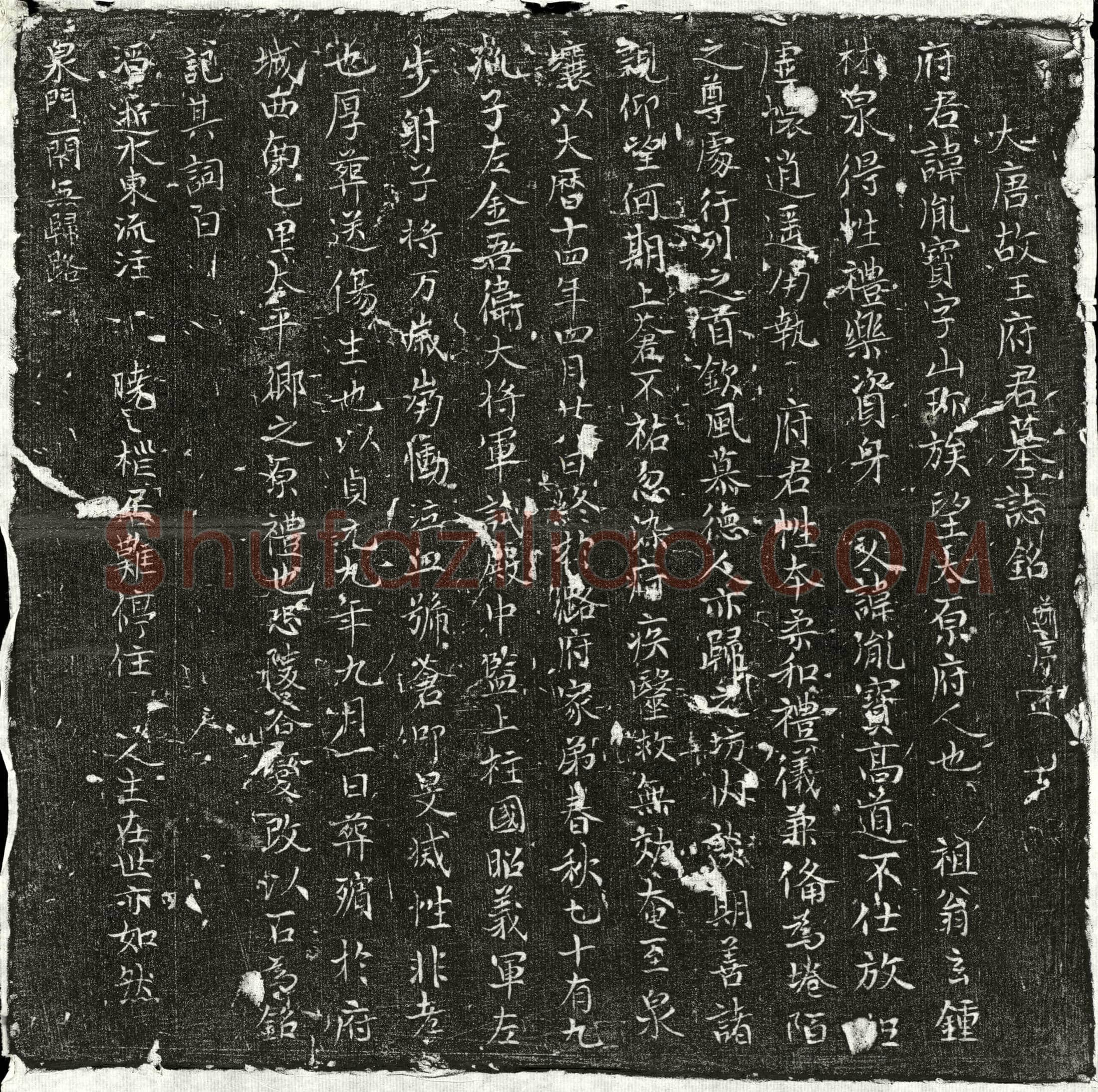 唐王胤宝墓誌(大唐故王府君墓誌铭并序)