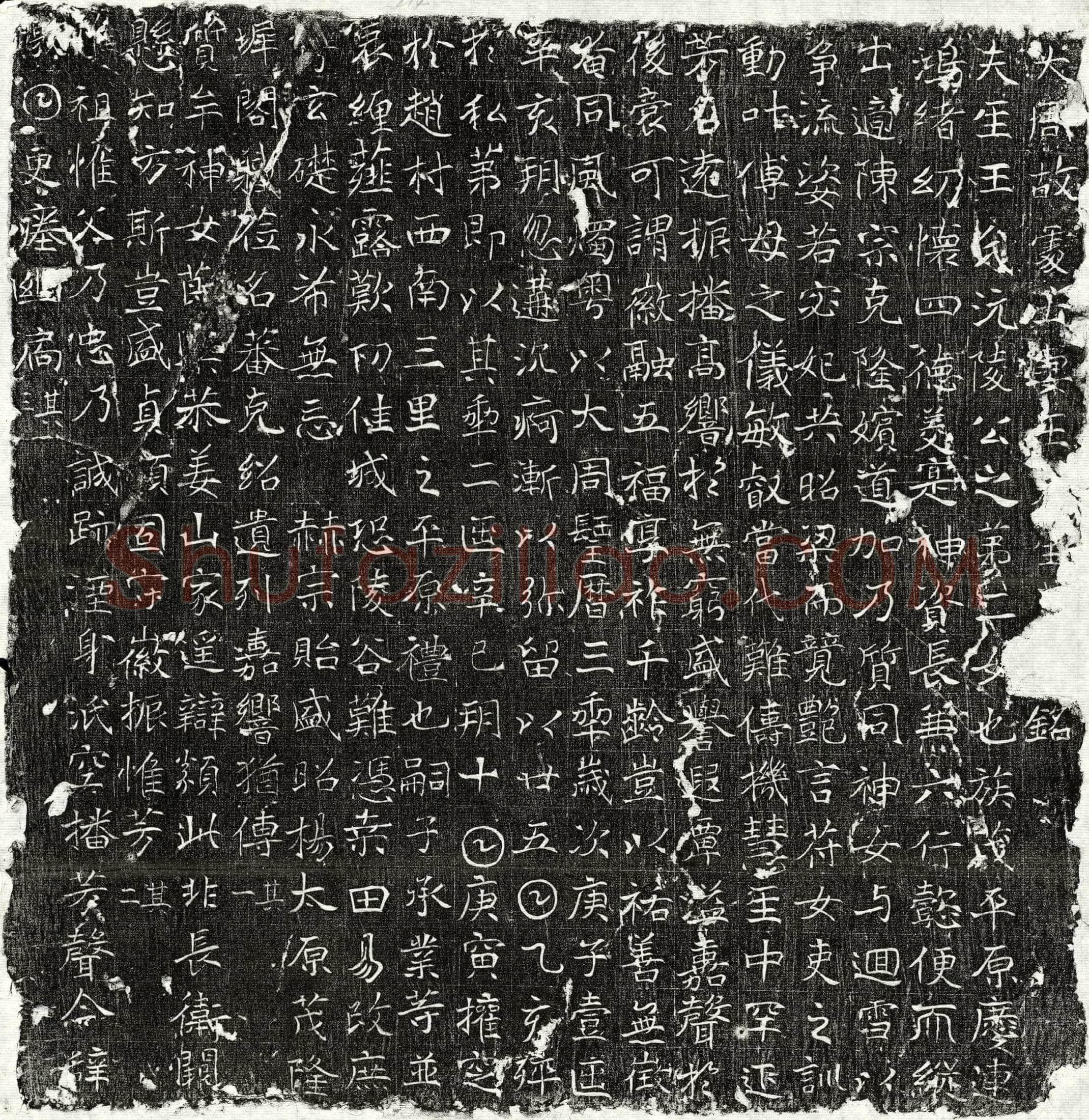 唐 陈君妻王氏 墓誌