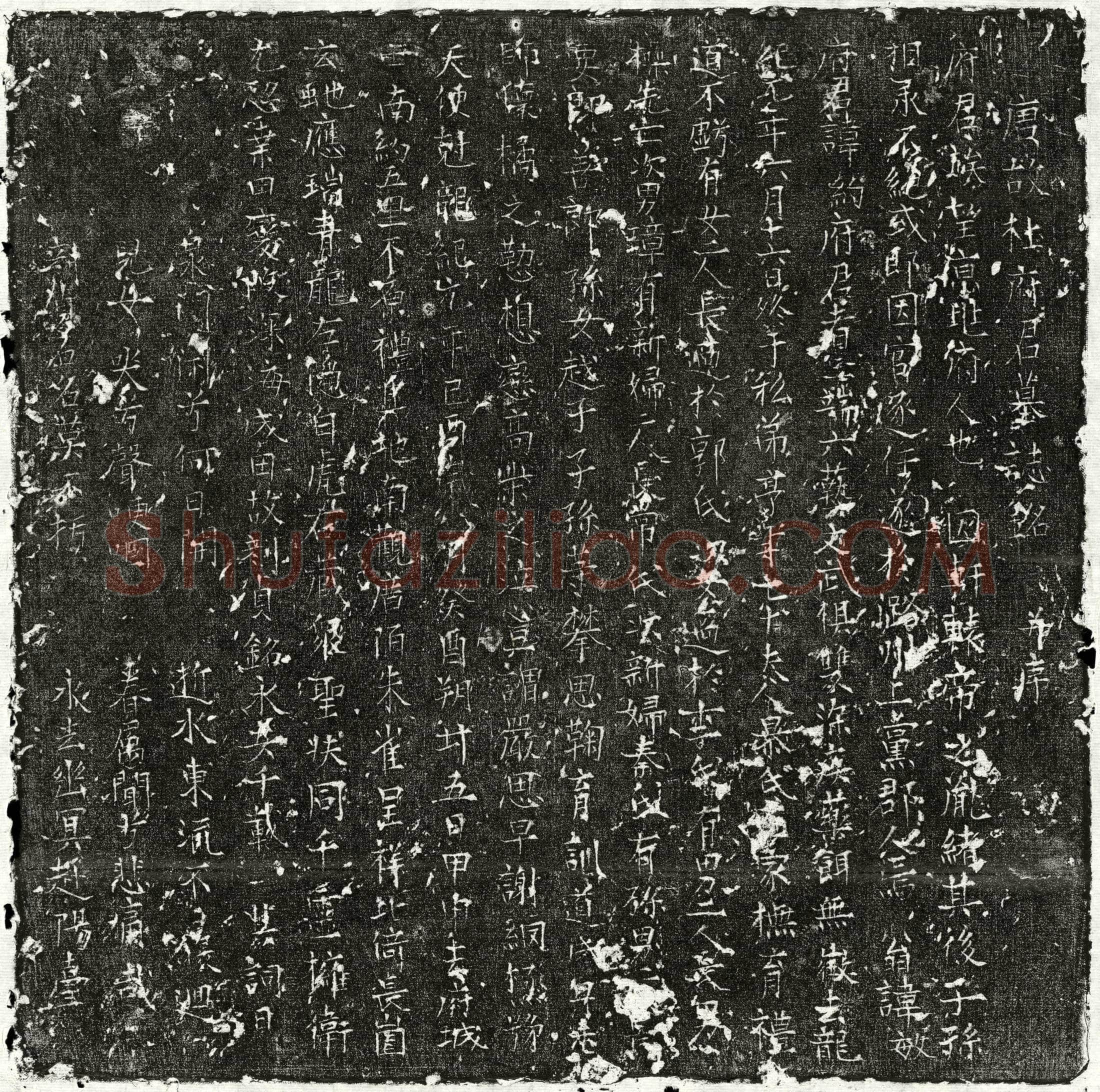 唐 杜约 墓誌