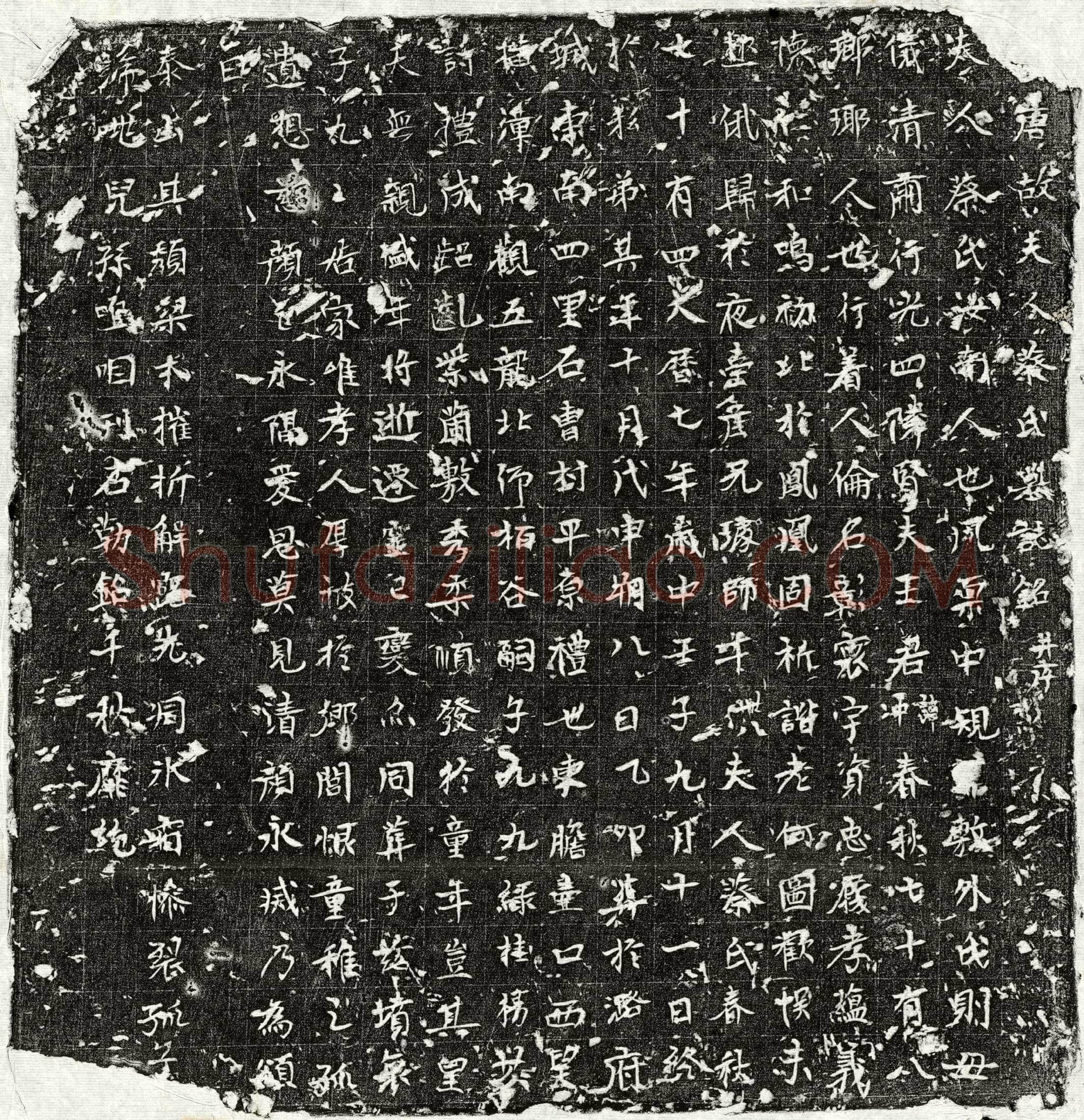 唐王冲妻蔡氏墓誌(唐故夫人蔡氏墓誌铭并序)