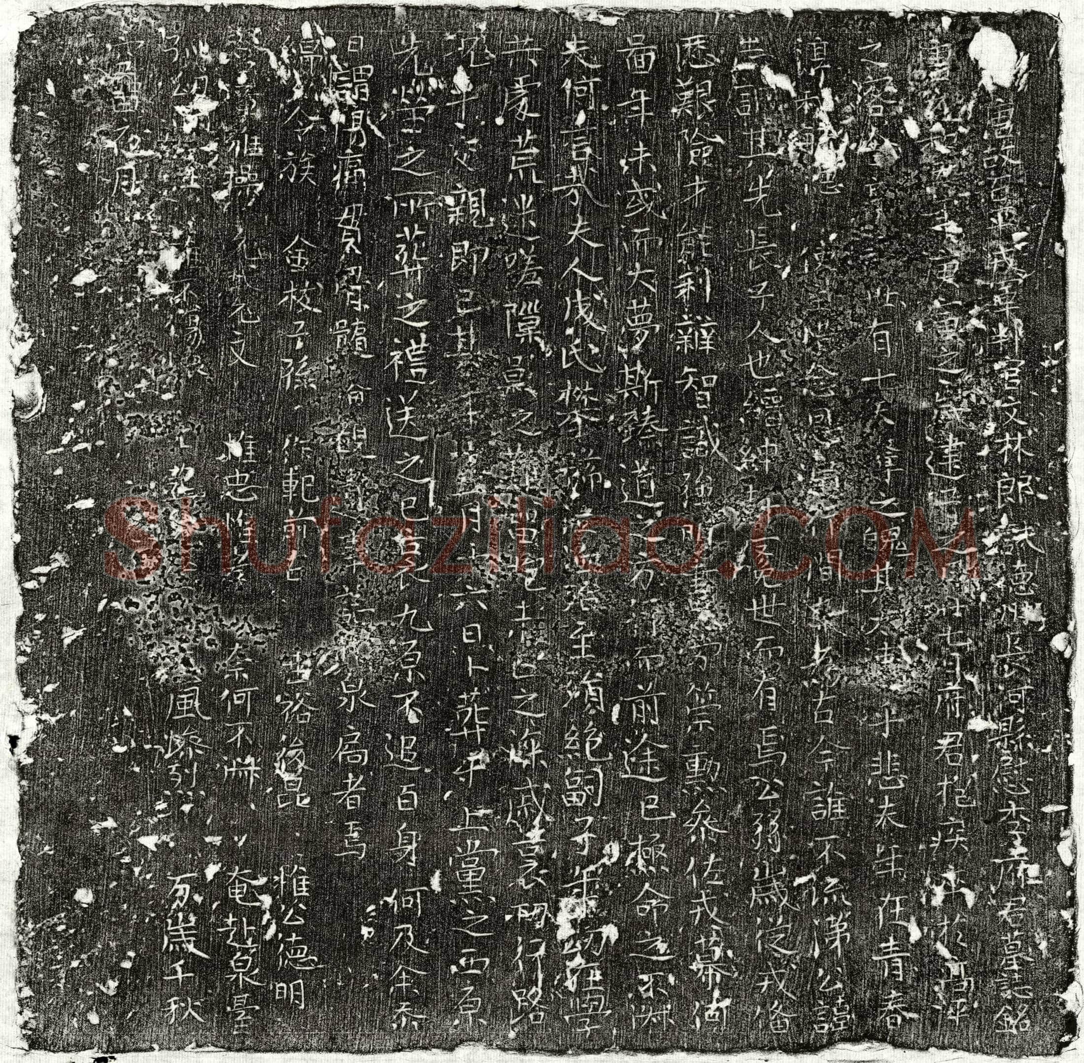 唐 李志训 墓誌