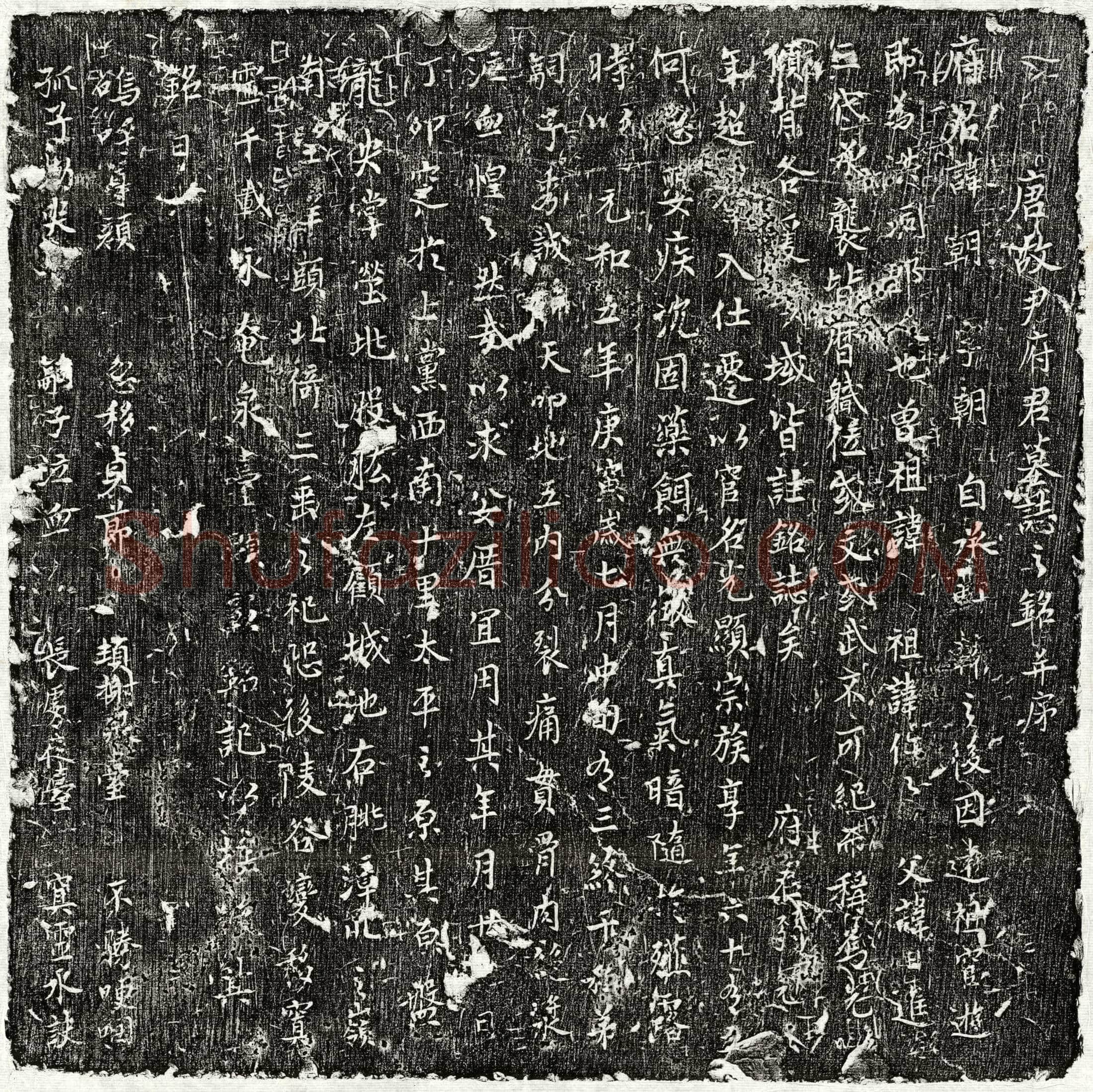 唐 尹朝 墓誌