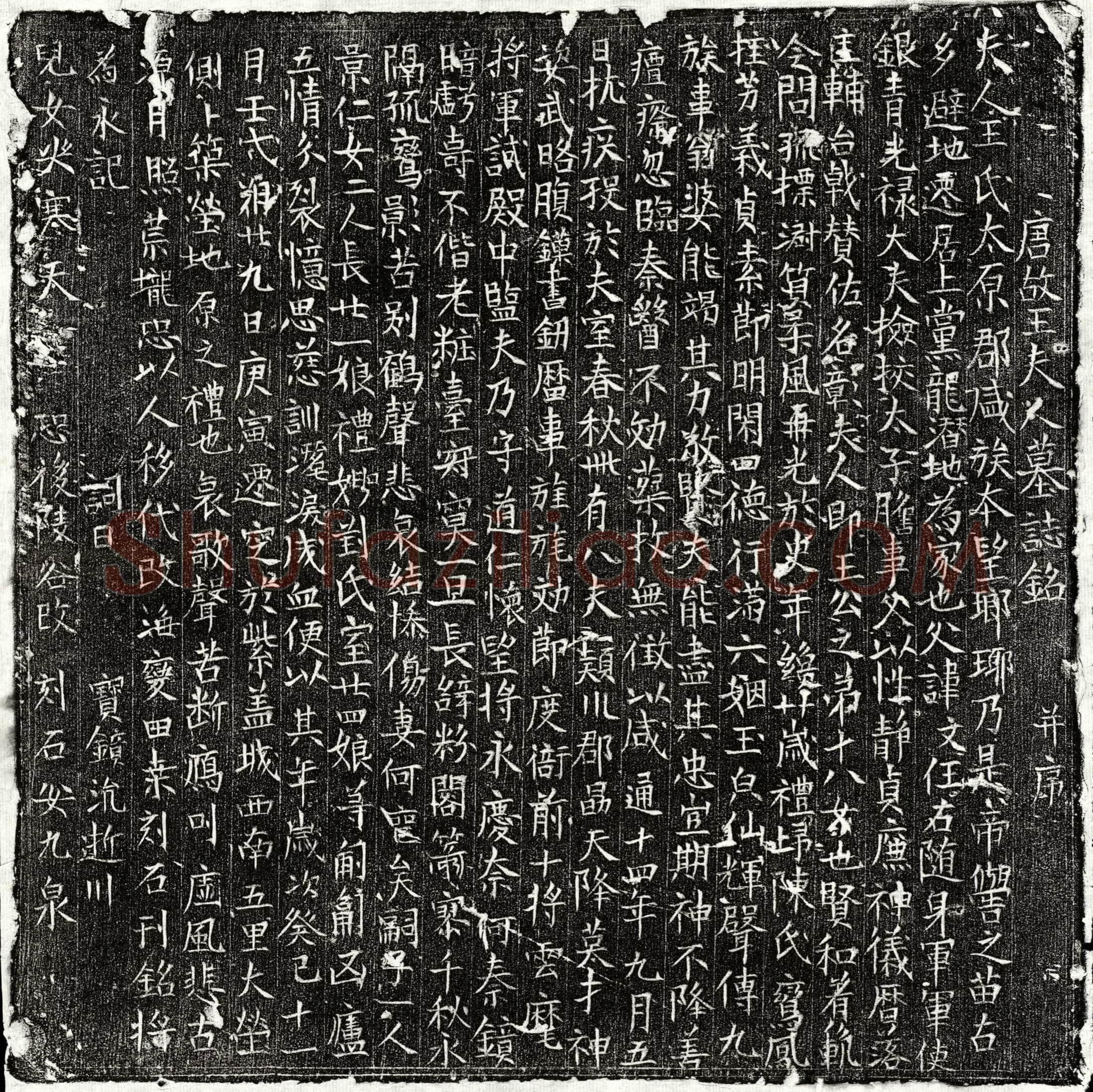 唐陈君妻王氏墓誌(唐故王夫人墓誌铭并序)