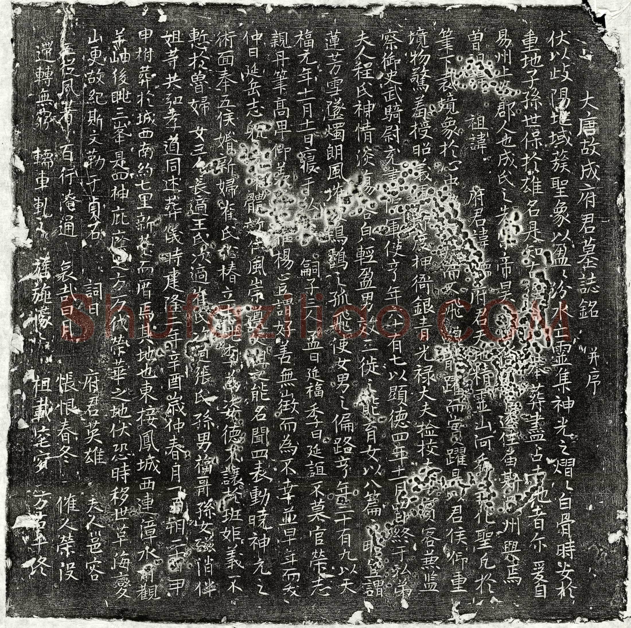 北宋成儒墓誌(大唐故成府君墓誌铭并序)