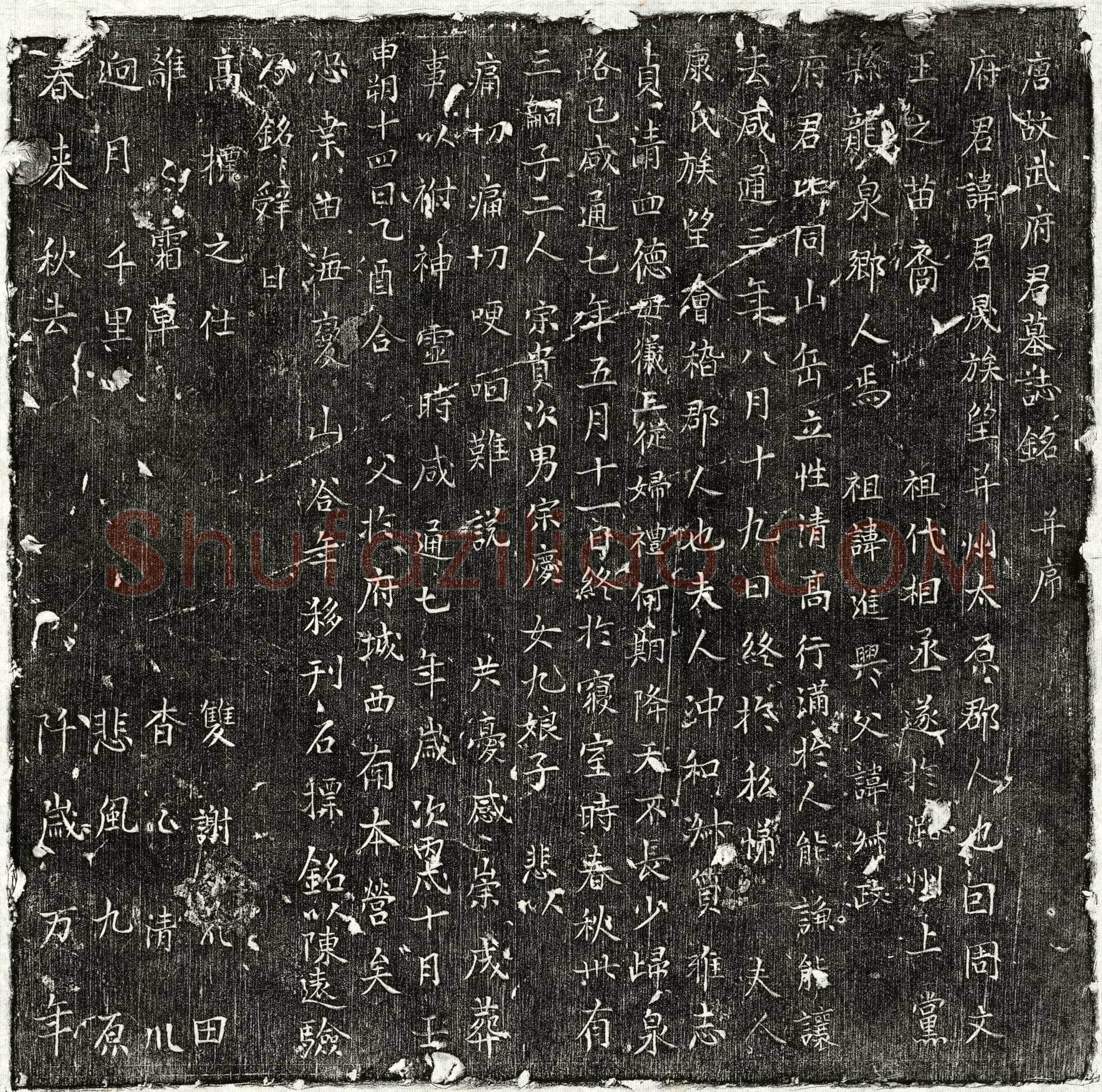 唐武君晟墓誌(唐故武府君墓誌铭并序)
