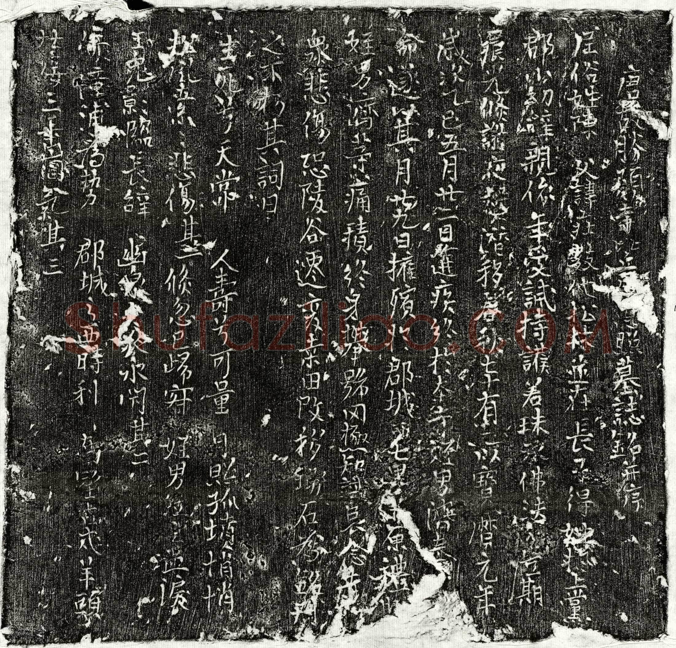 唐 □照 墓誌
