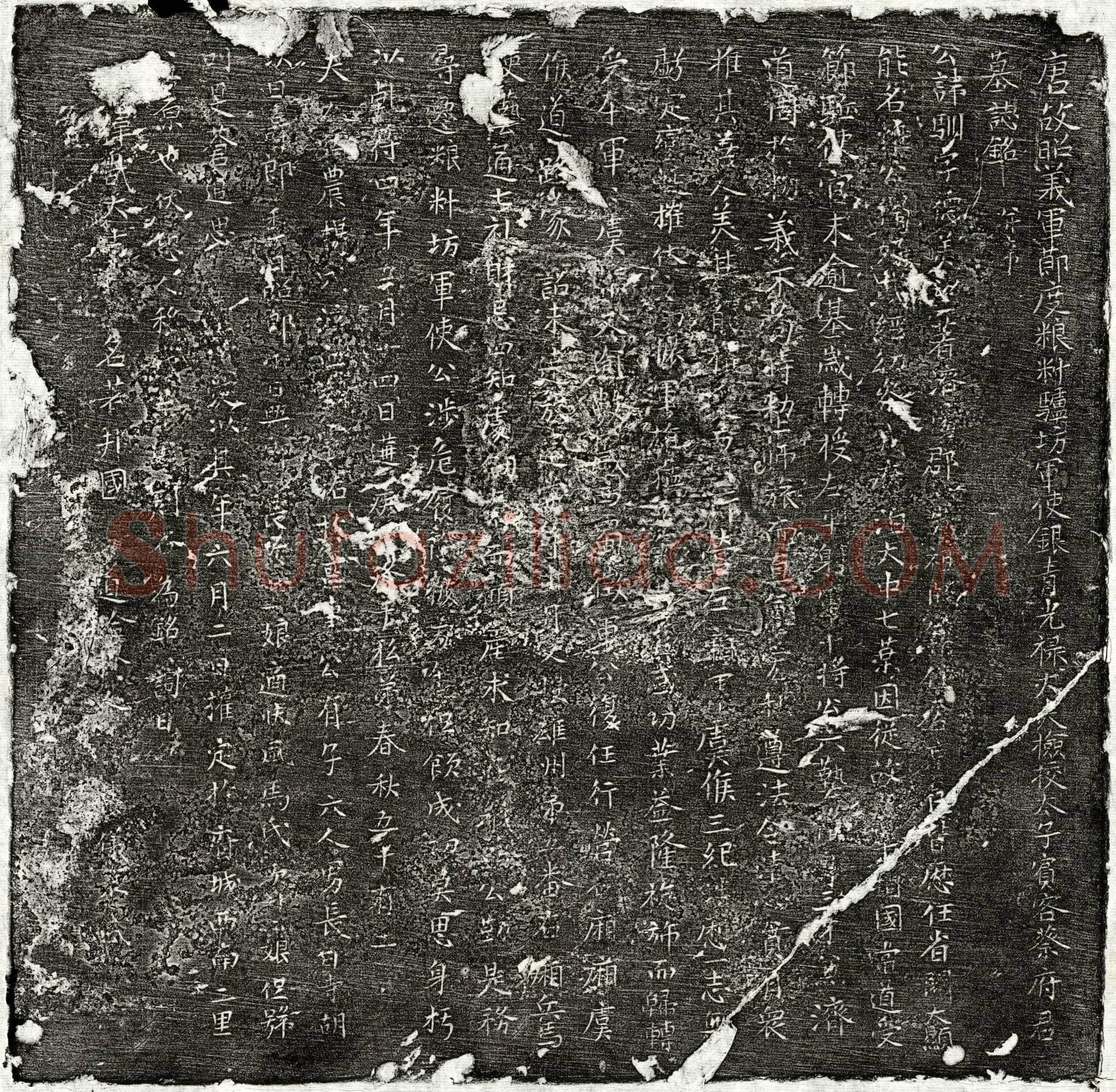 唐 蔡驯 墓誌