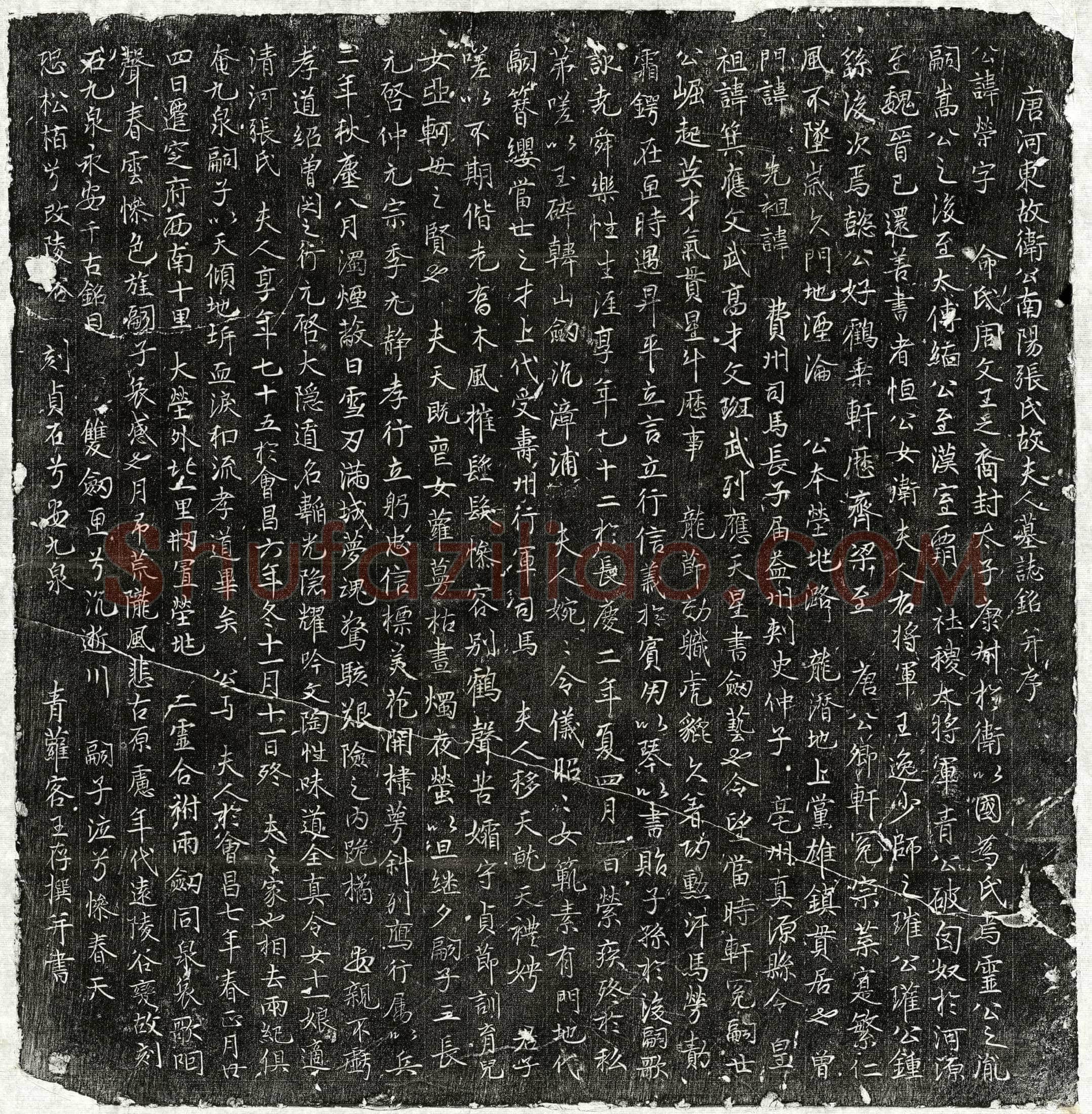 唐卫荣、卫荣妻张氏墓誌(唐河东故卫公南阳张氏故夫人墓誌铭并序)