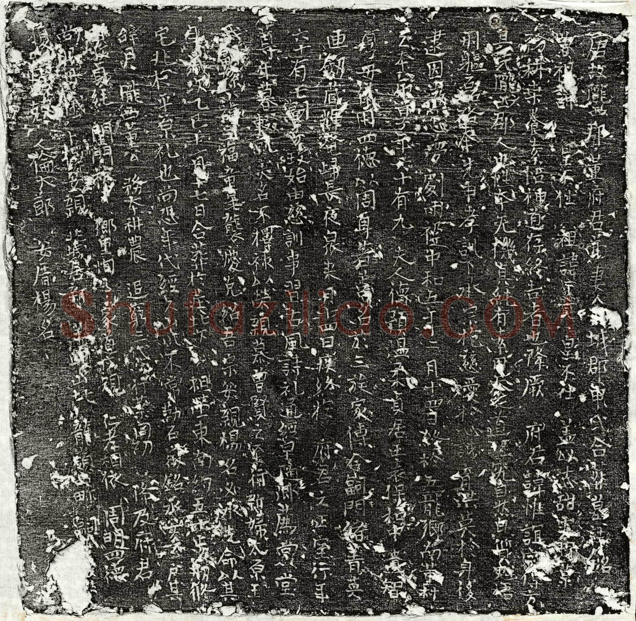 唐董惟谊、董惟谊妻申氏墓誌(唐故陇西郡董府君并妻【金】城郡申氏合葬墓誌铭)