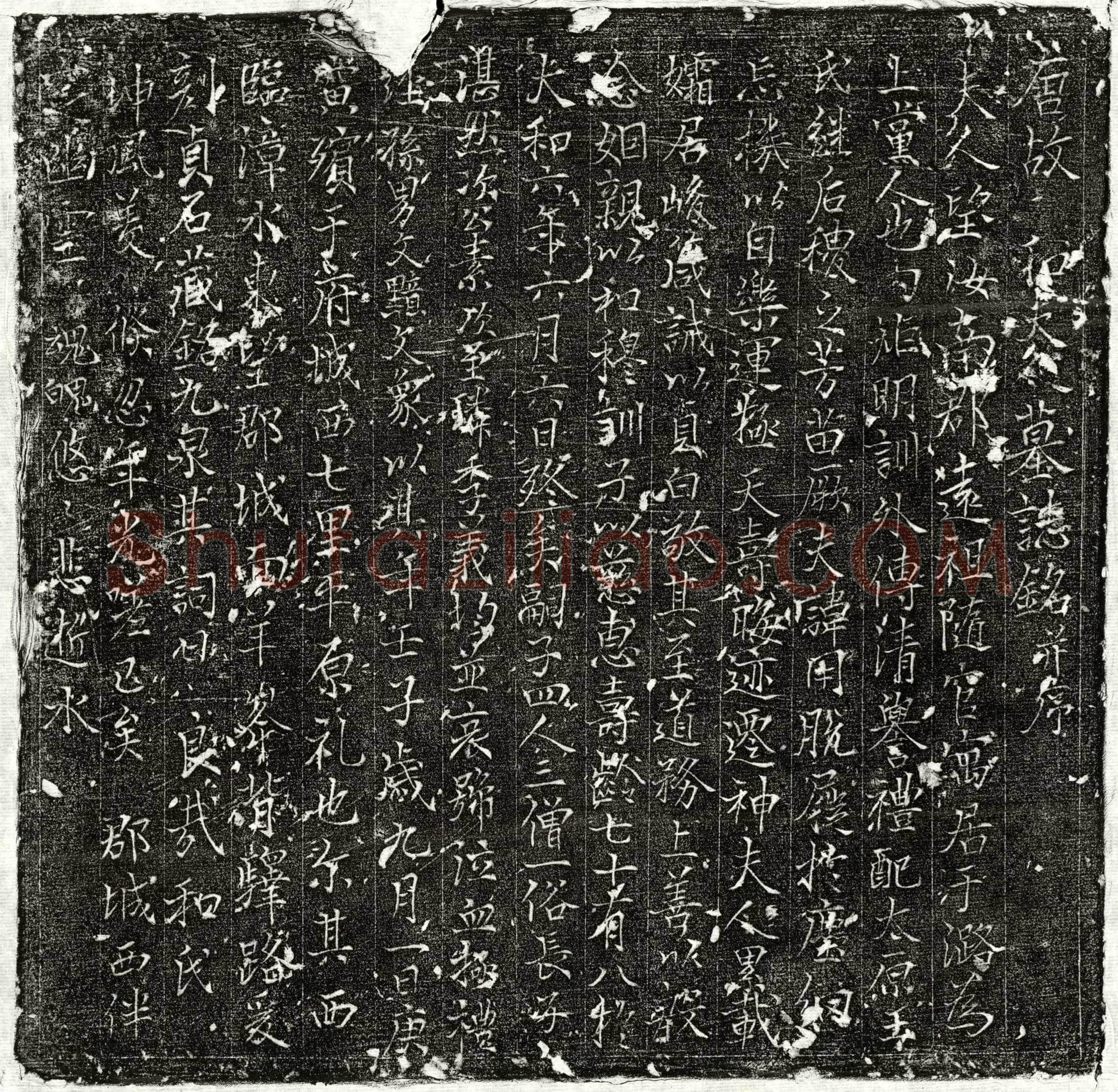 唐王用妻和氏墓誌(唐故和夫人墓誌铭并序)