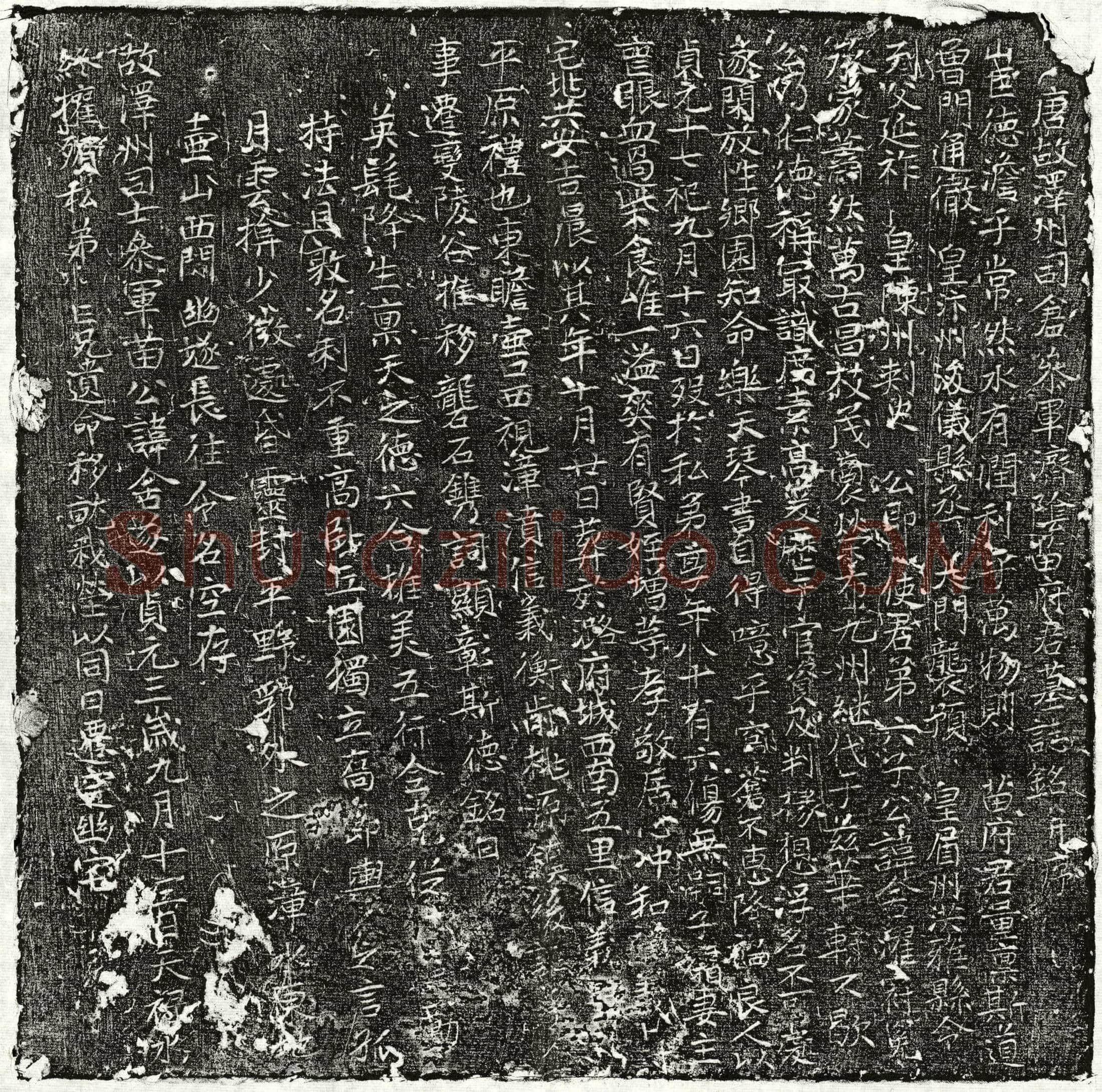 唐苗舍濯墓誌(唐故泽州司仓参军济阴苗府君墓誌铭并序)