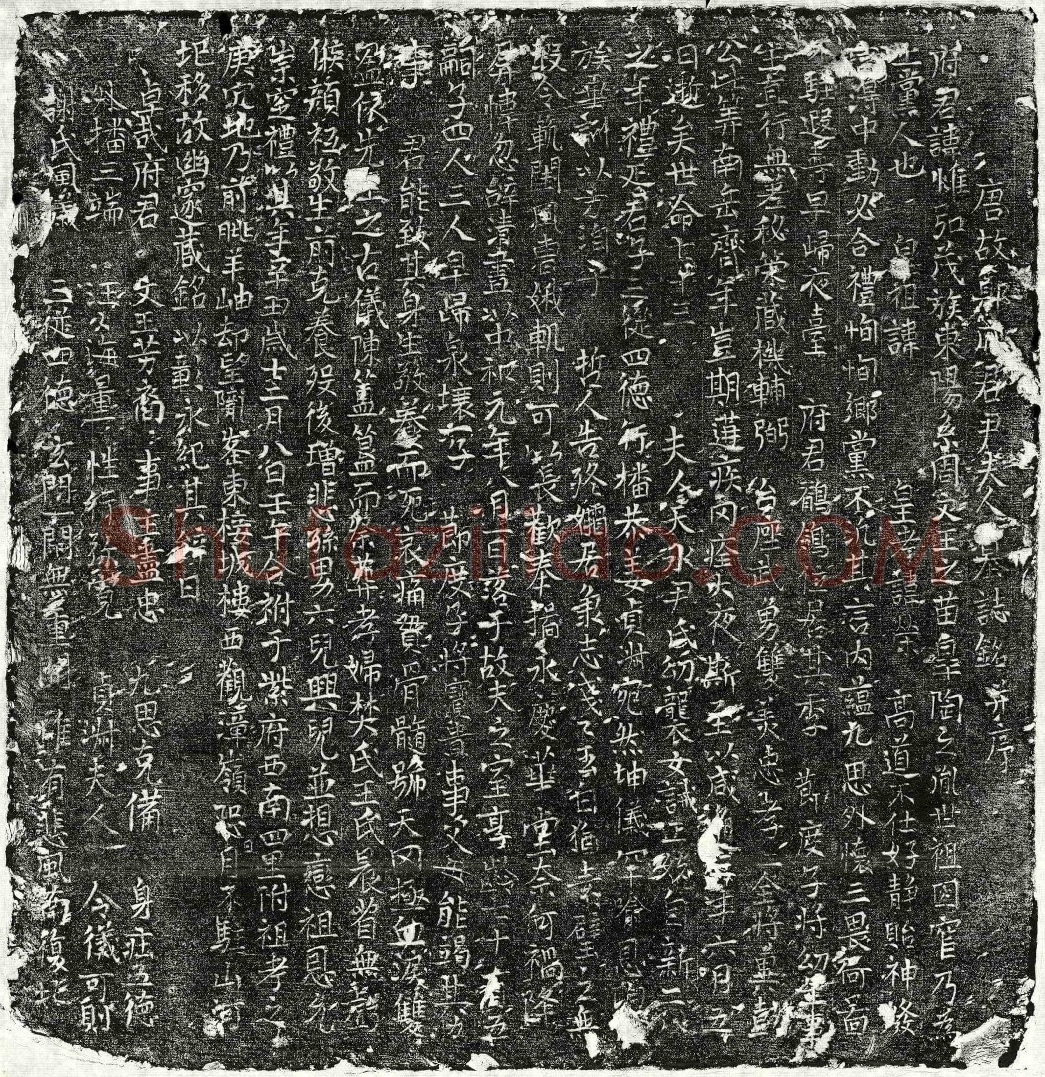 唐 郑惟弘 郑惟弘妻尹氏 墓誌