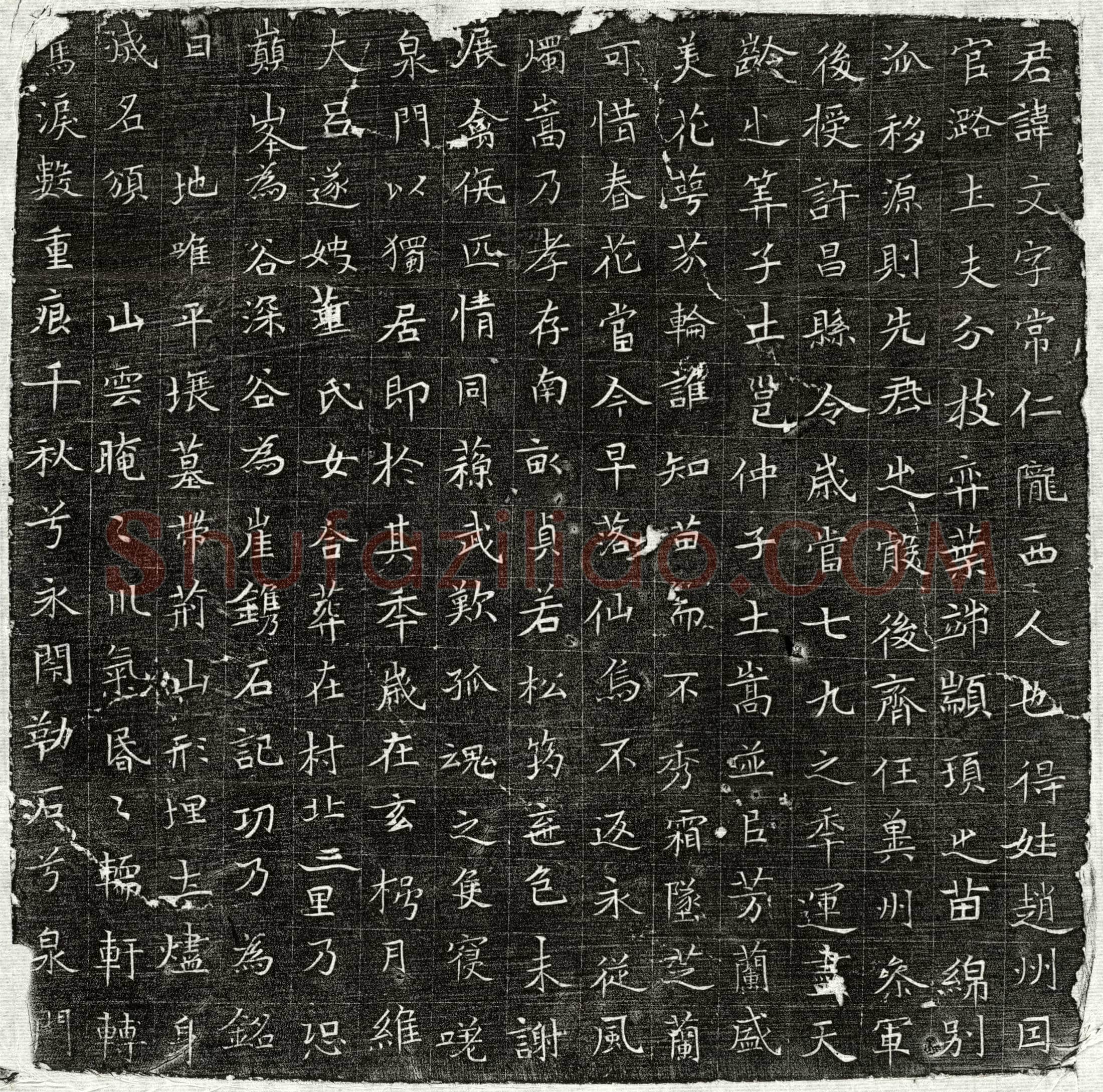 唐赵文墓誌