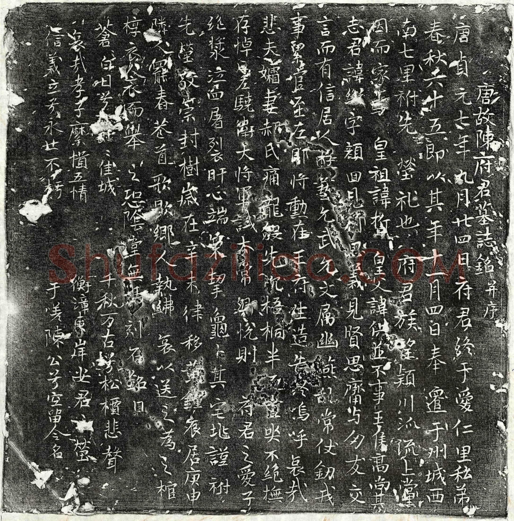 唐 陈颜回 墓誌
