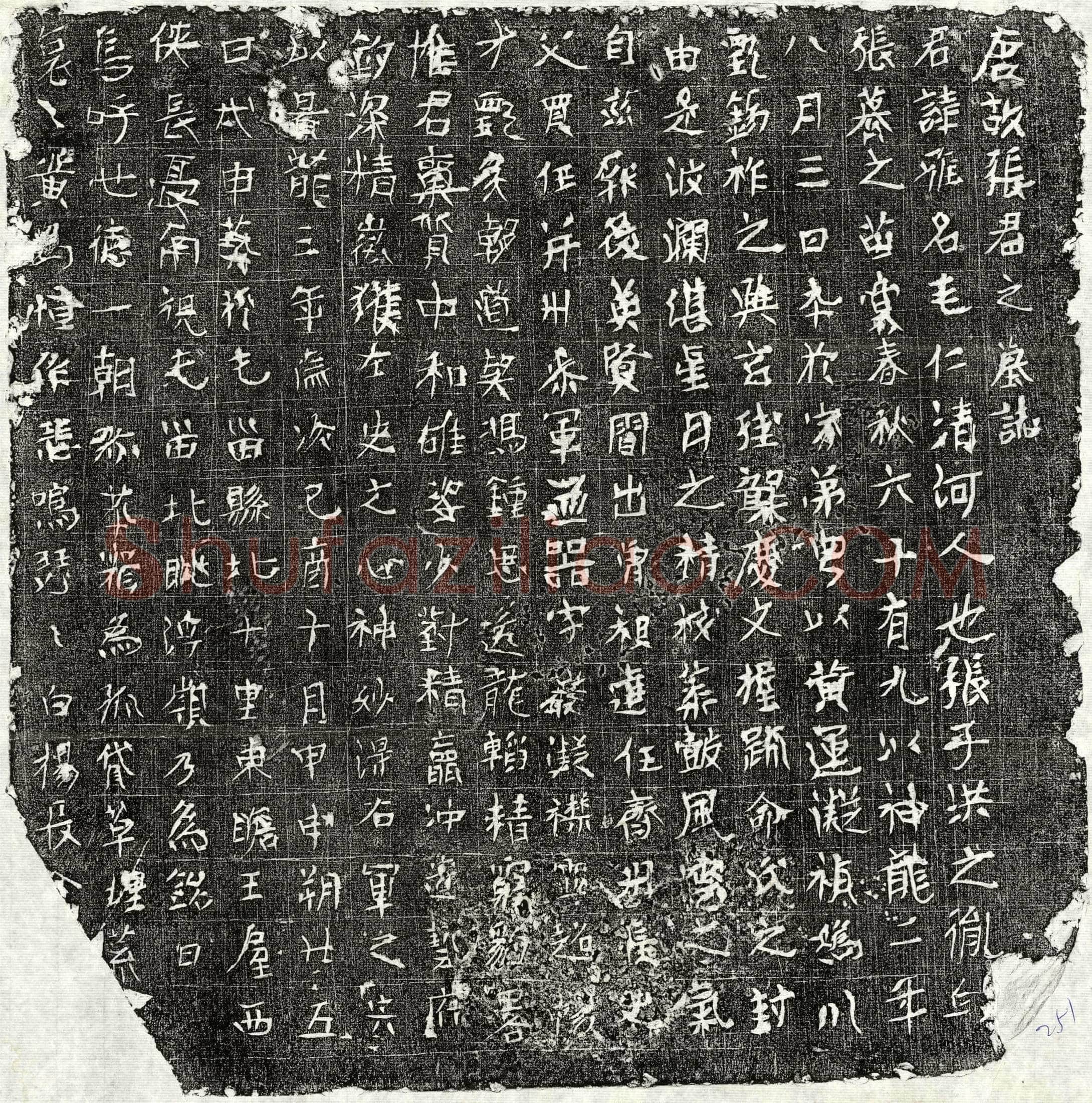 唐张雅墓誌(唐故张君之墓誌)