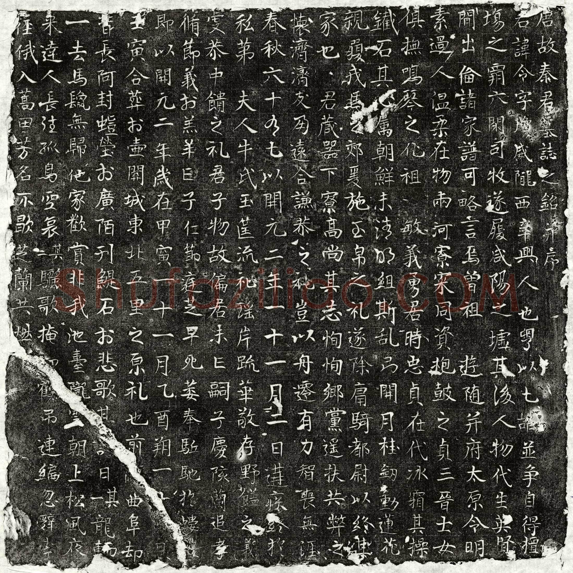 唐 秦令 墓誌