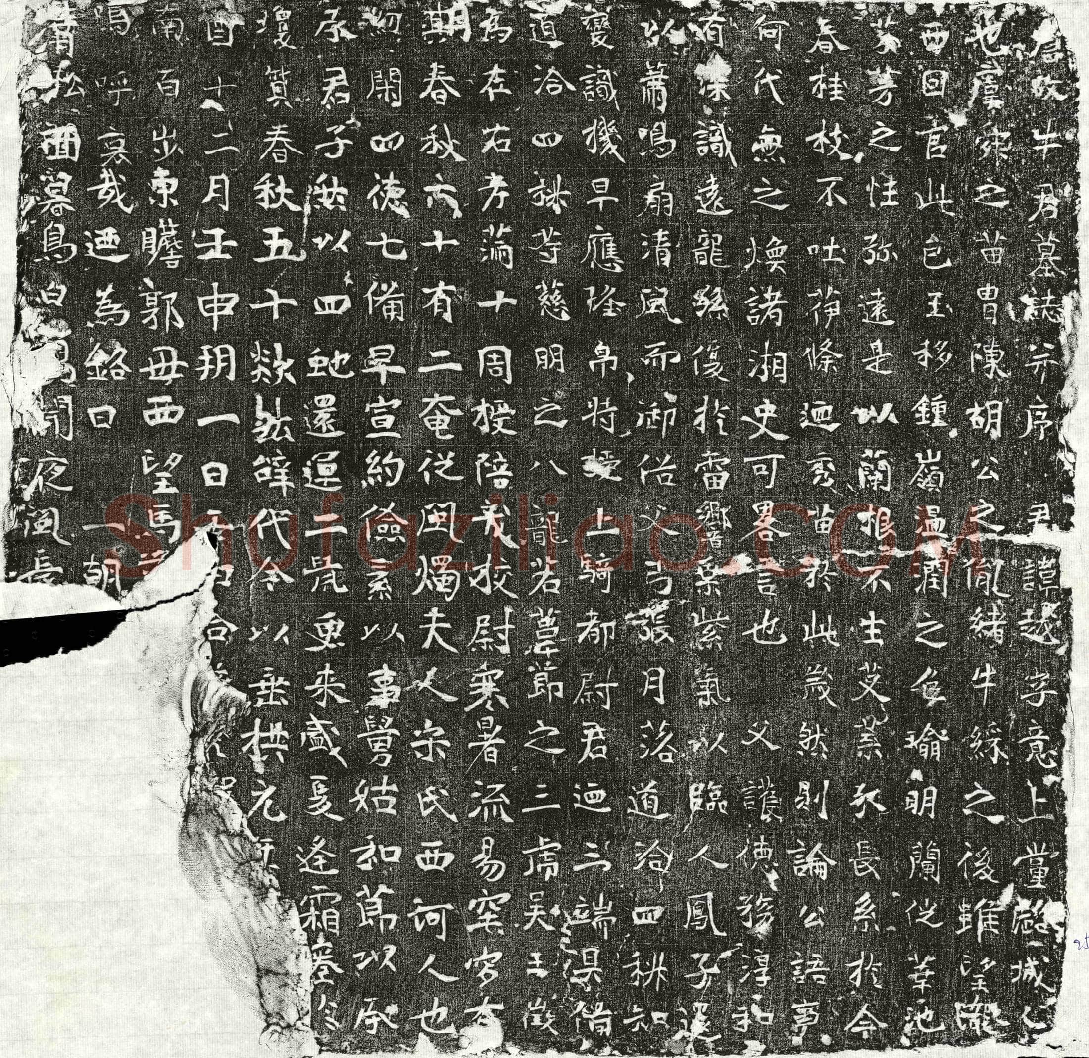 唐 牛越 墓誌