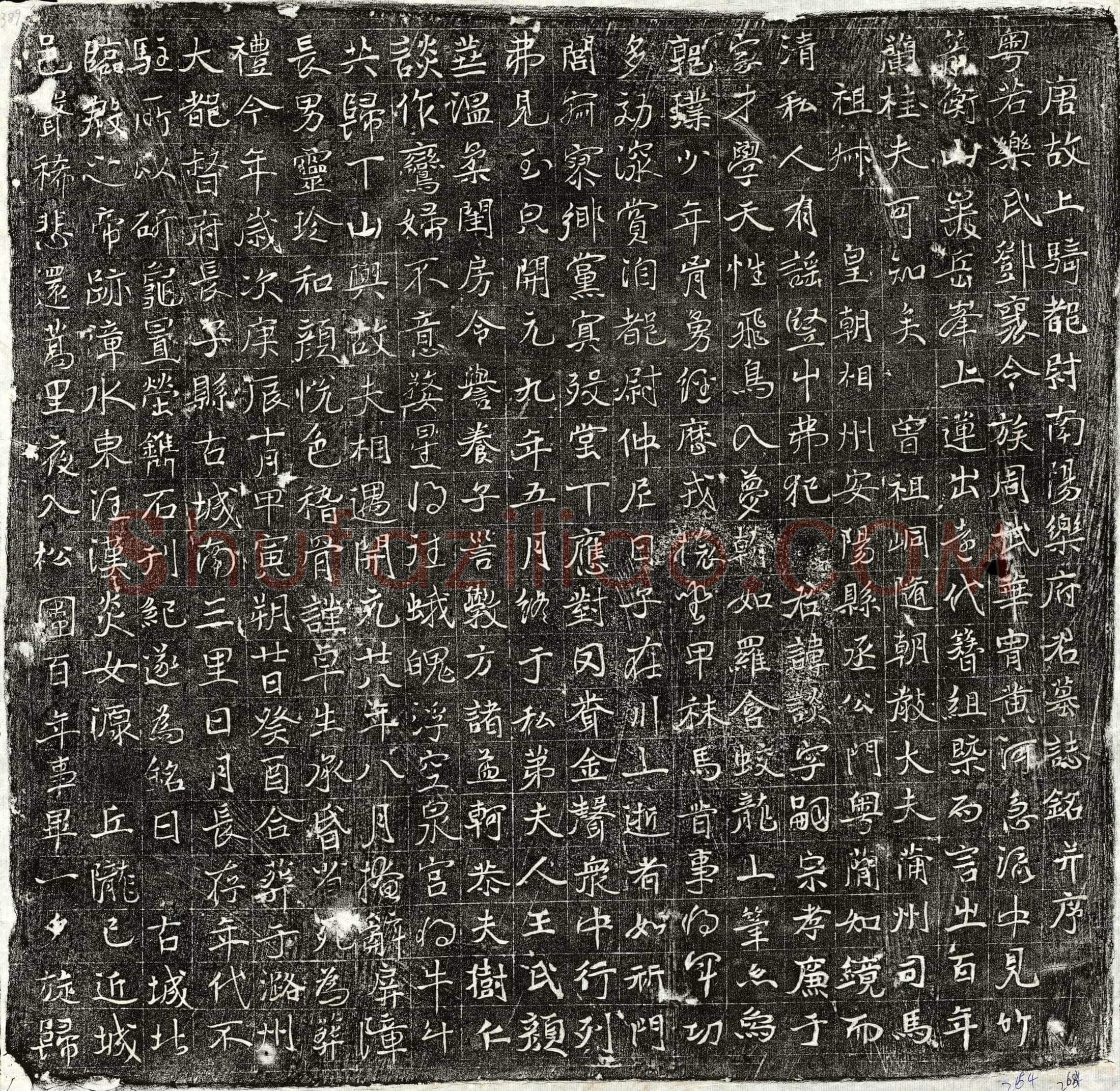 唐乐谈墓誌(唐故上骑都尉南阳乐府君墓誌铭并序)
