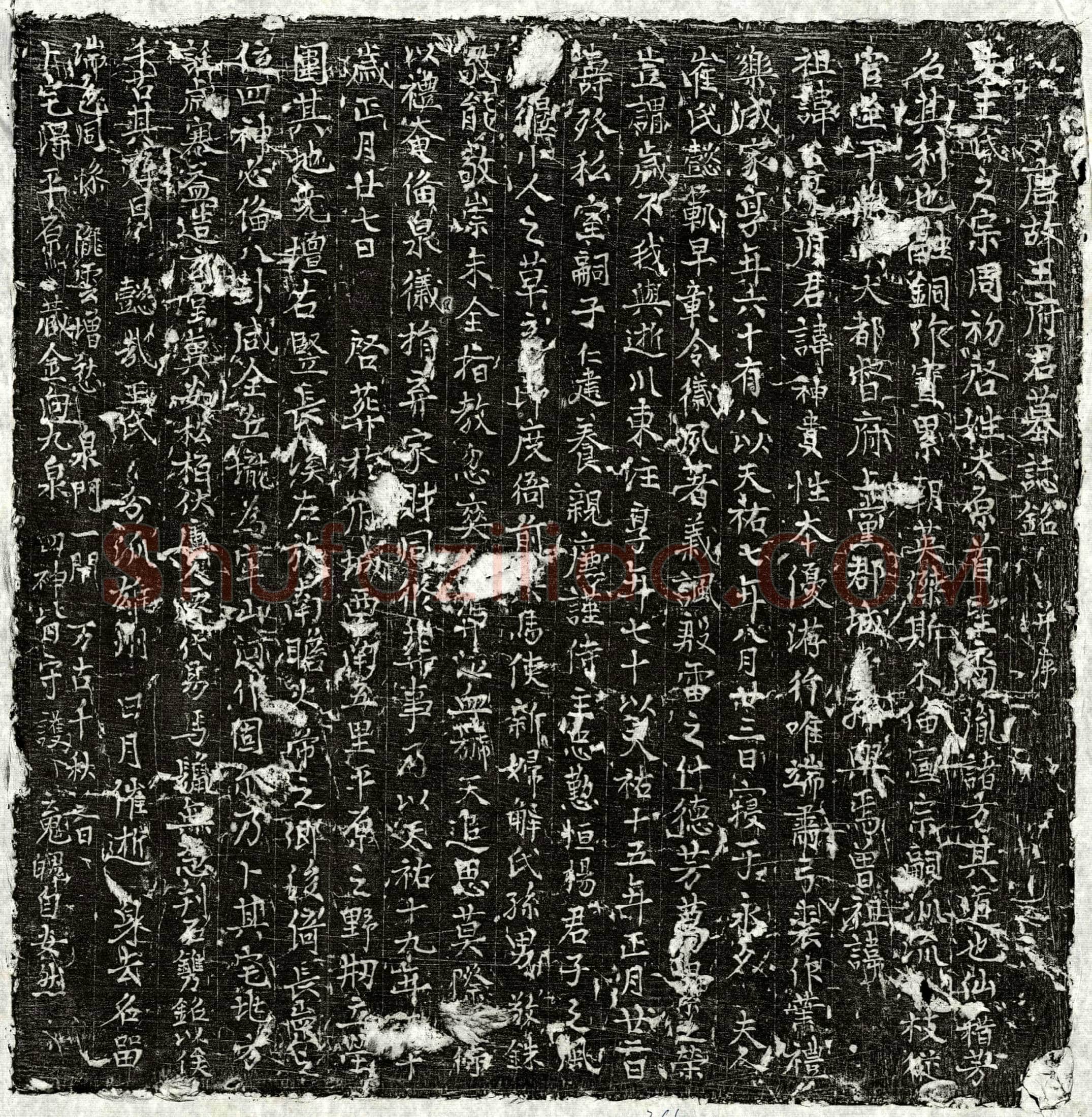 唐王神贵墓誌(唐故王府君墓誌铭并序)