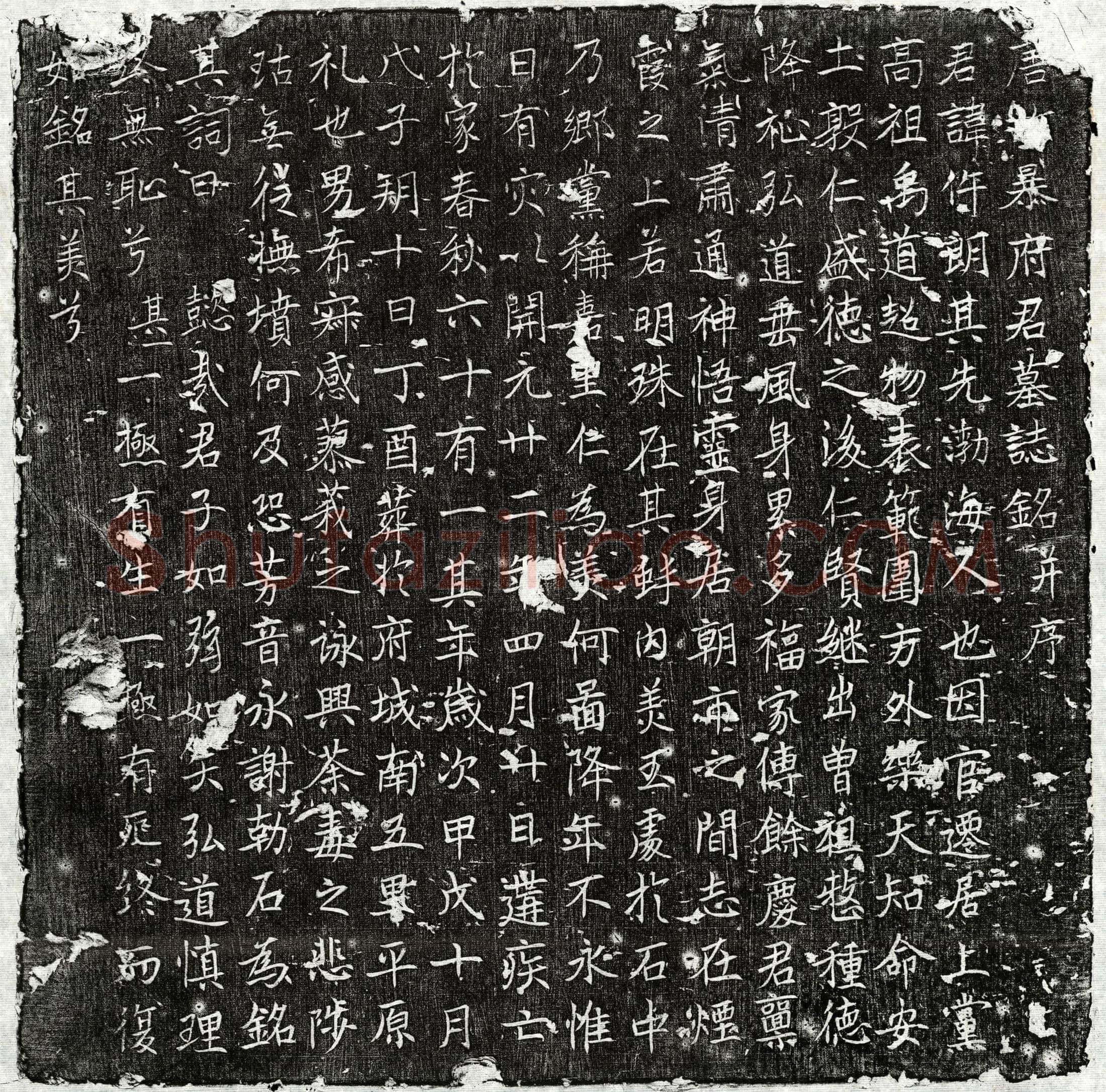 唐 暴仵朗 墓誌