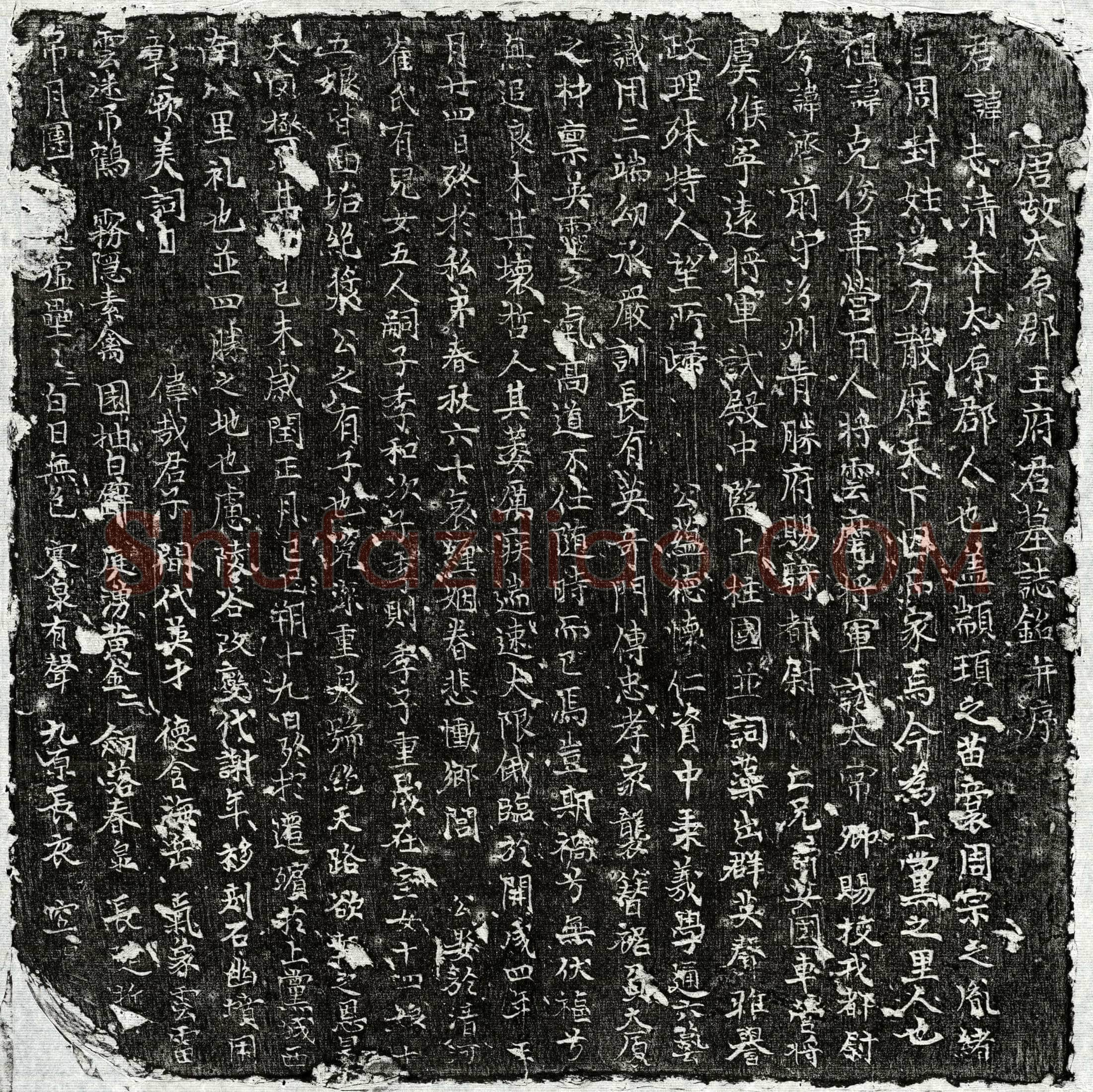 唐 王志清 墓誌