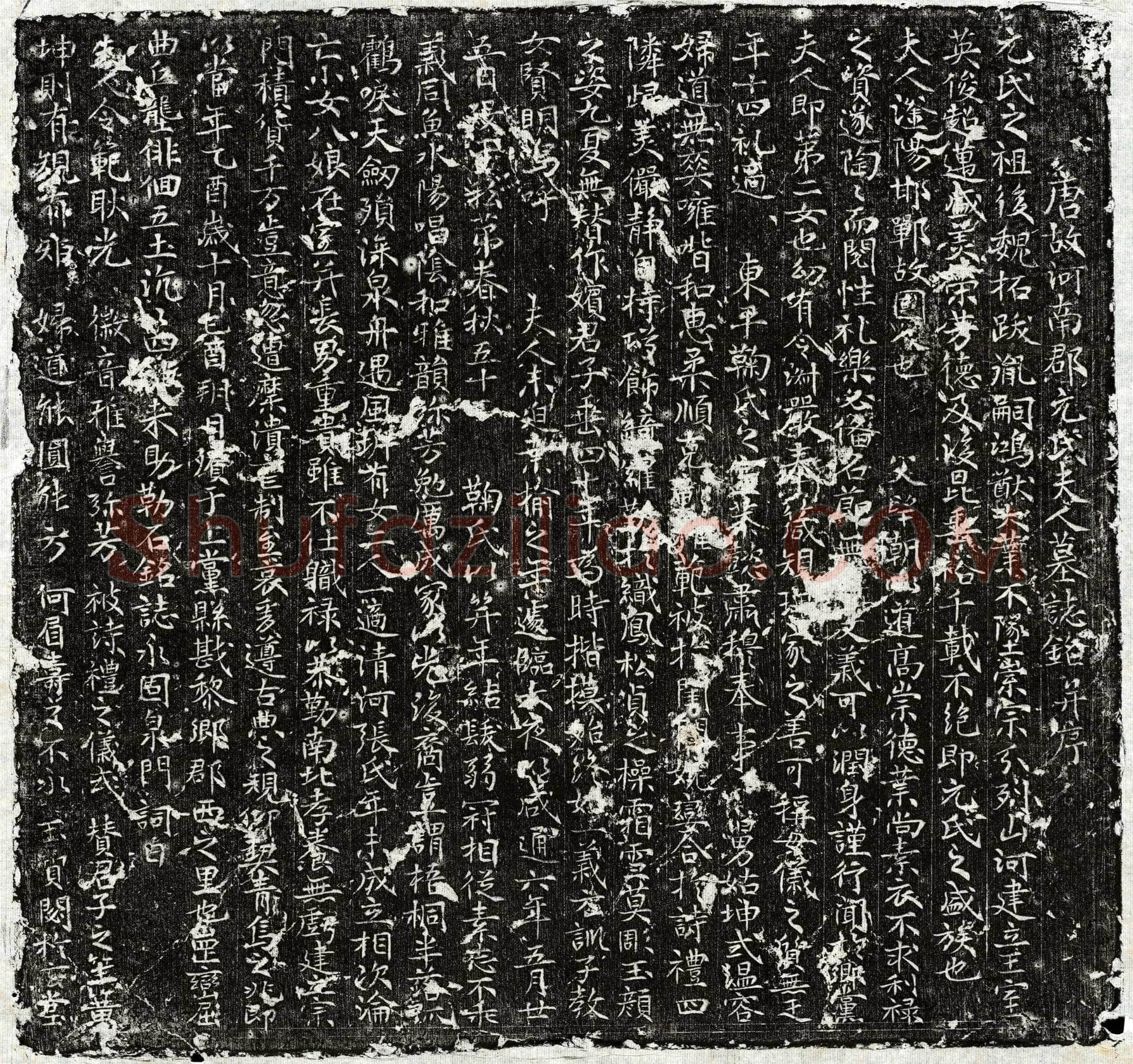 唐 鞠君妻元氏 墓誌