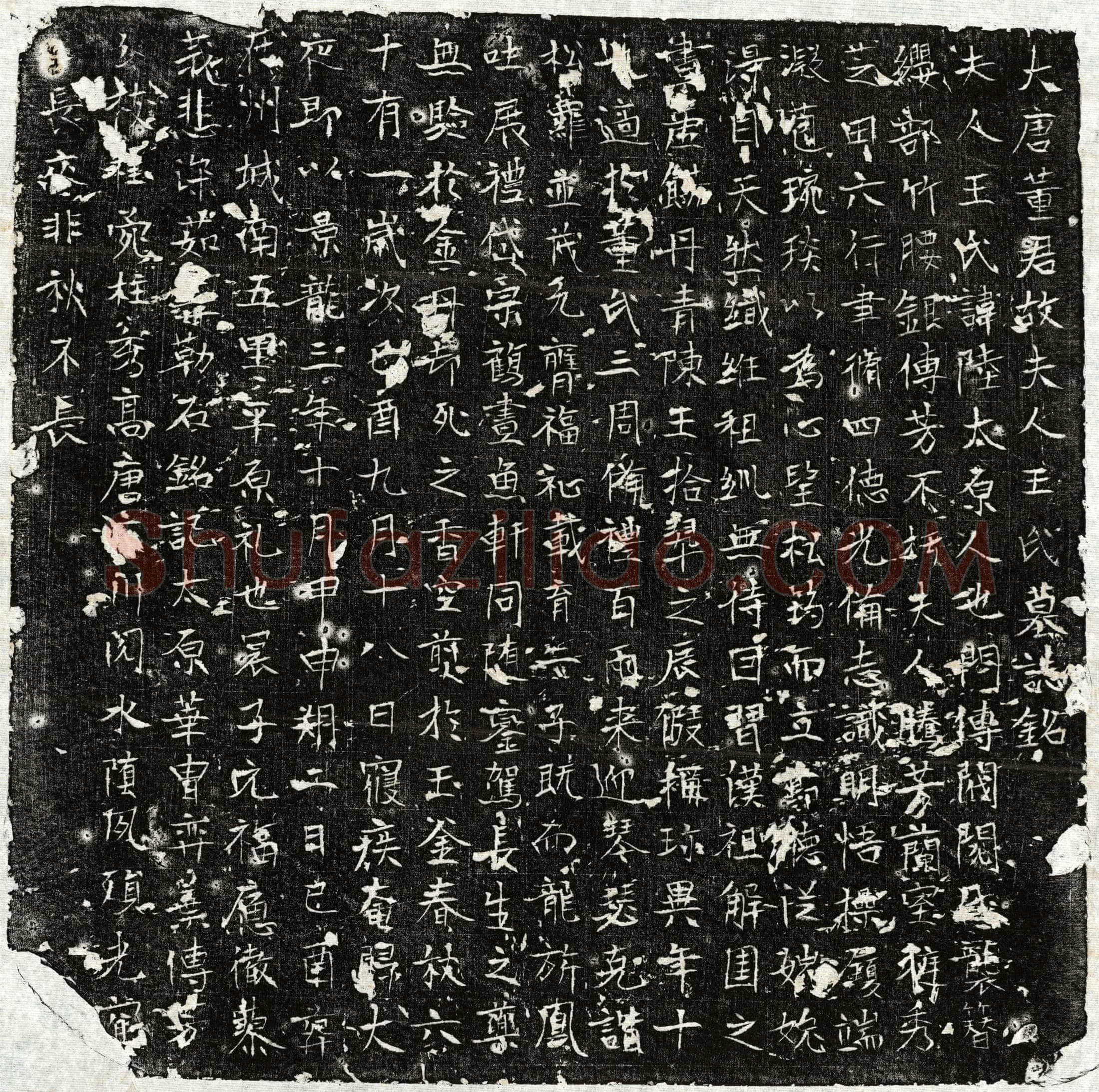 唐 董君妻王陆 墓誌
