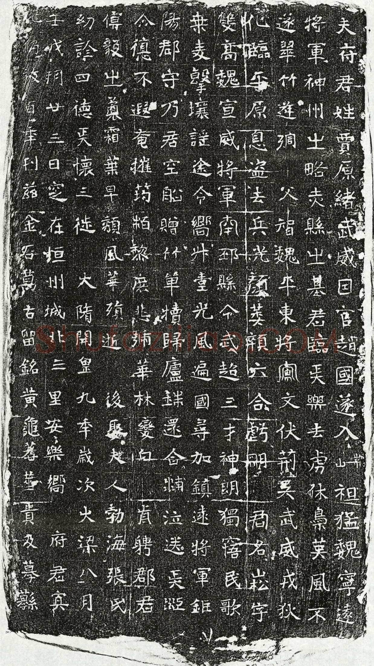 隋 贾崧 墓誌